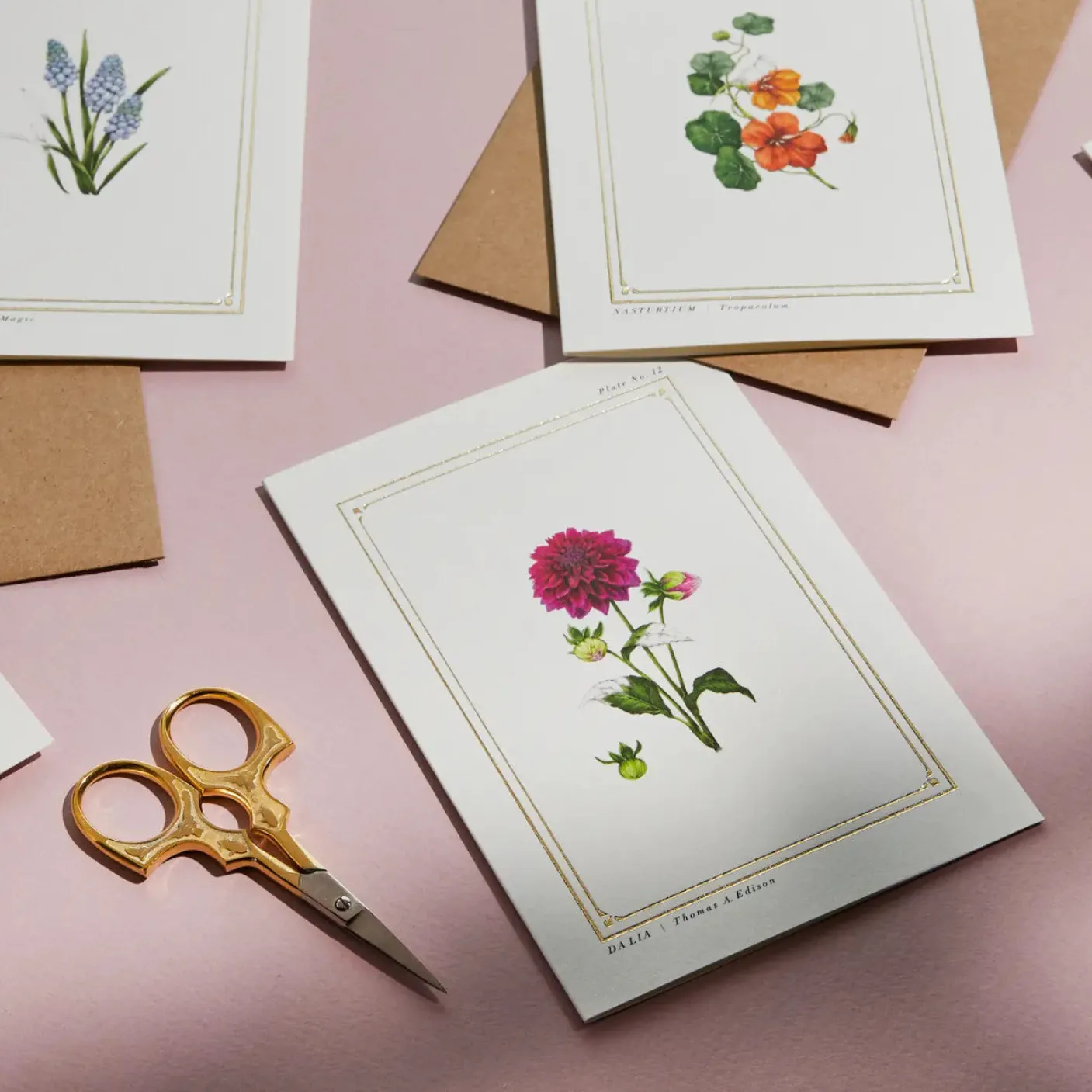 Dahlia - 'Botanical Archive: Everyday Edition' - card
