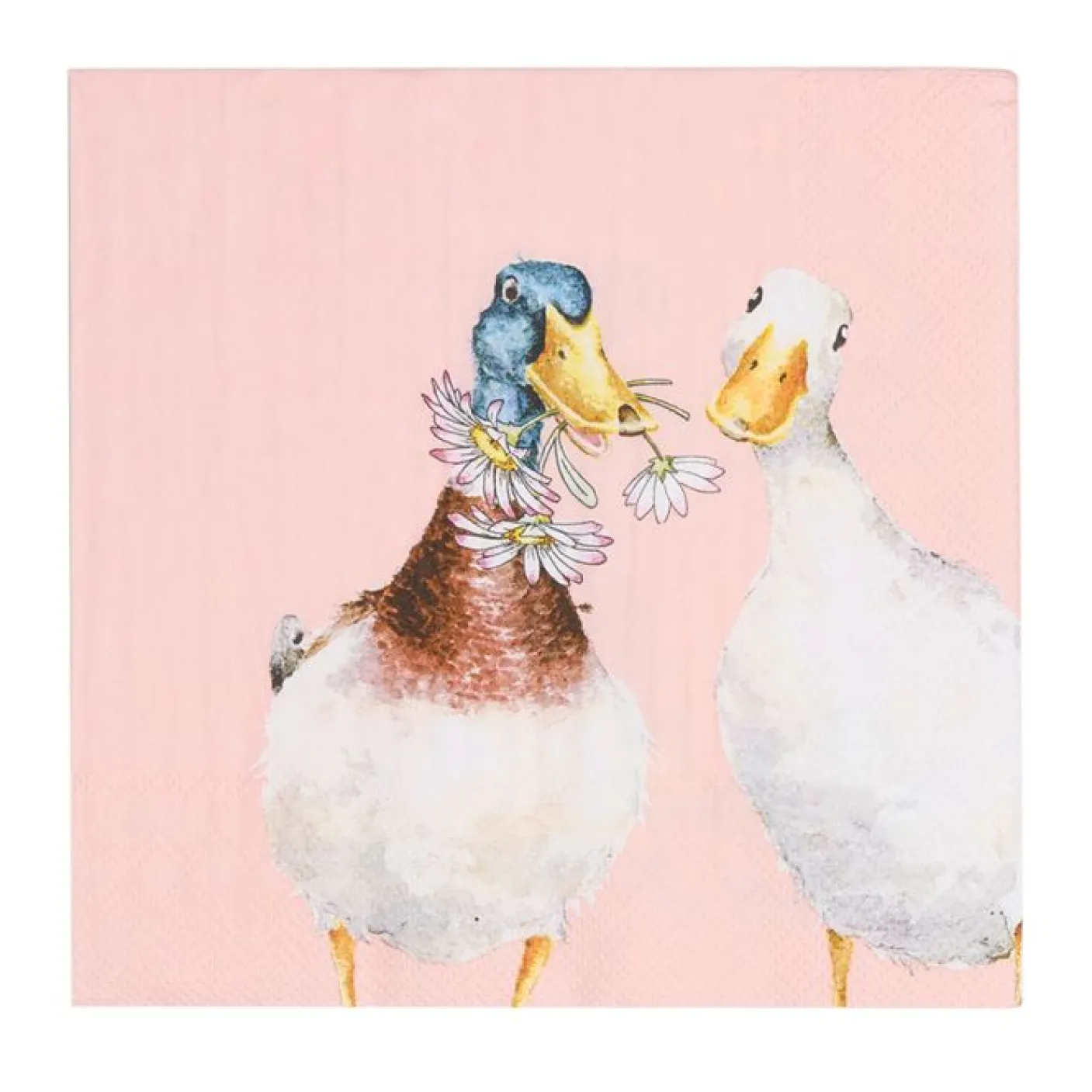 'Not A Daisy Goes By' Duck Paper Napkins