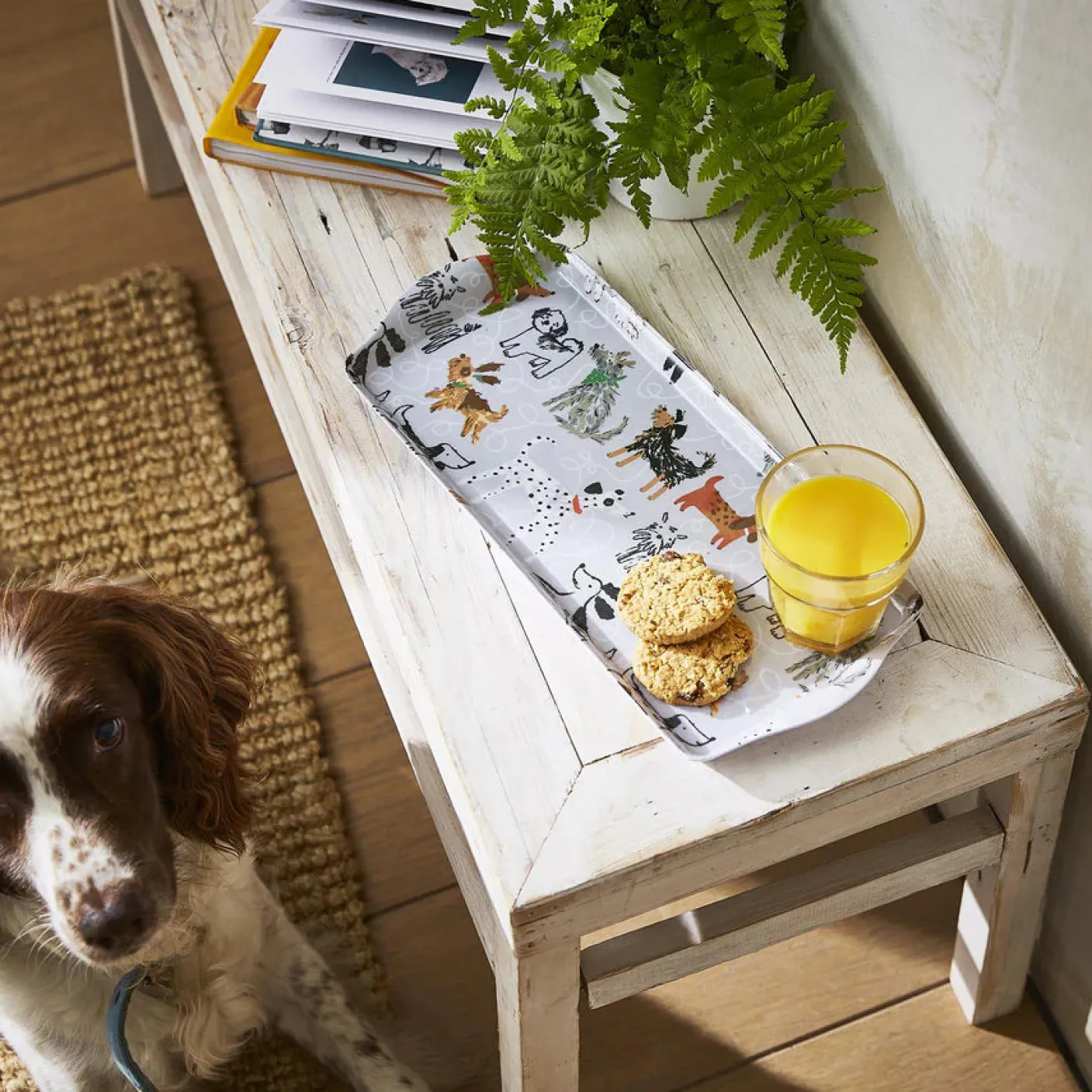 Dog Days Sandwich Tray