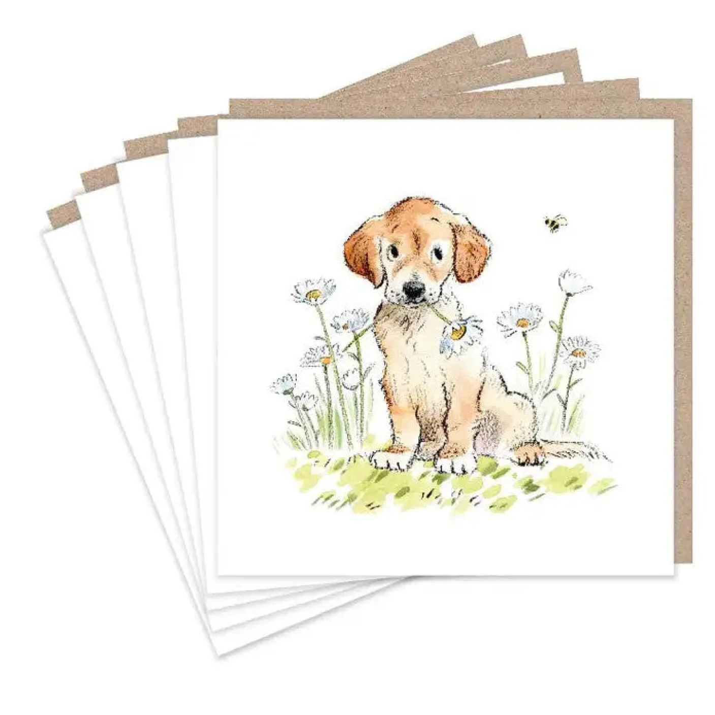 Golden Retriever and Daisies Set of 5 Notecards