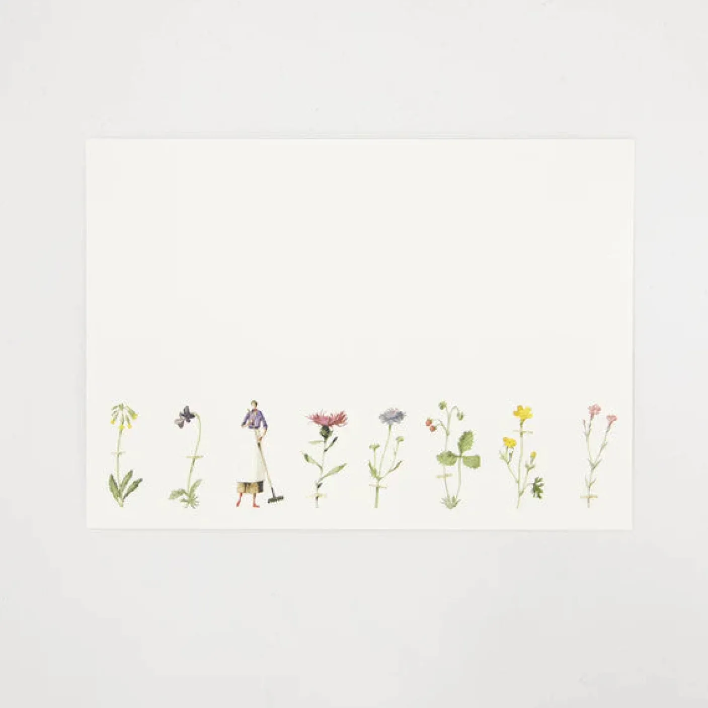 Wildflowers Flat Notes Set