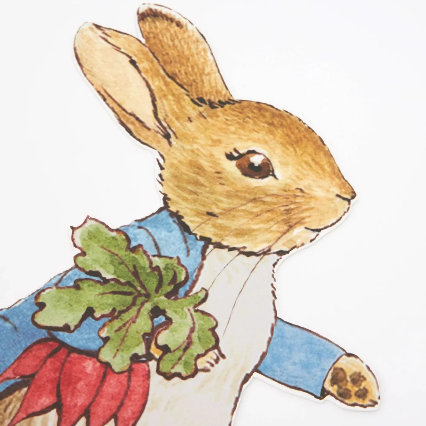 Peter Rabbit Egg Hunt Kit