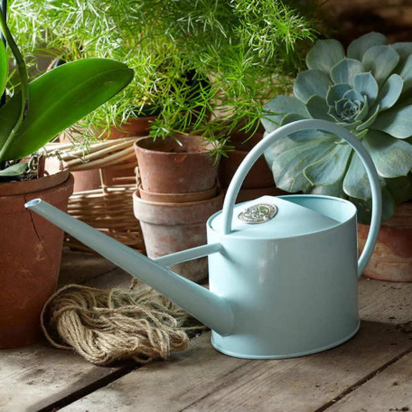 Sophie Conran Indoor Watering Can - Blue