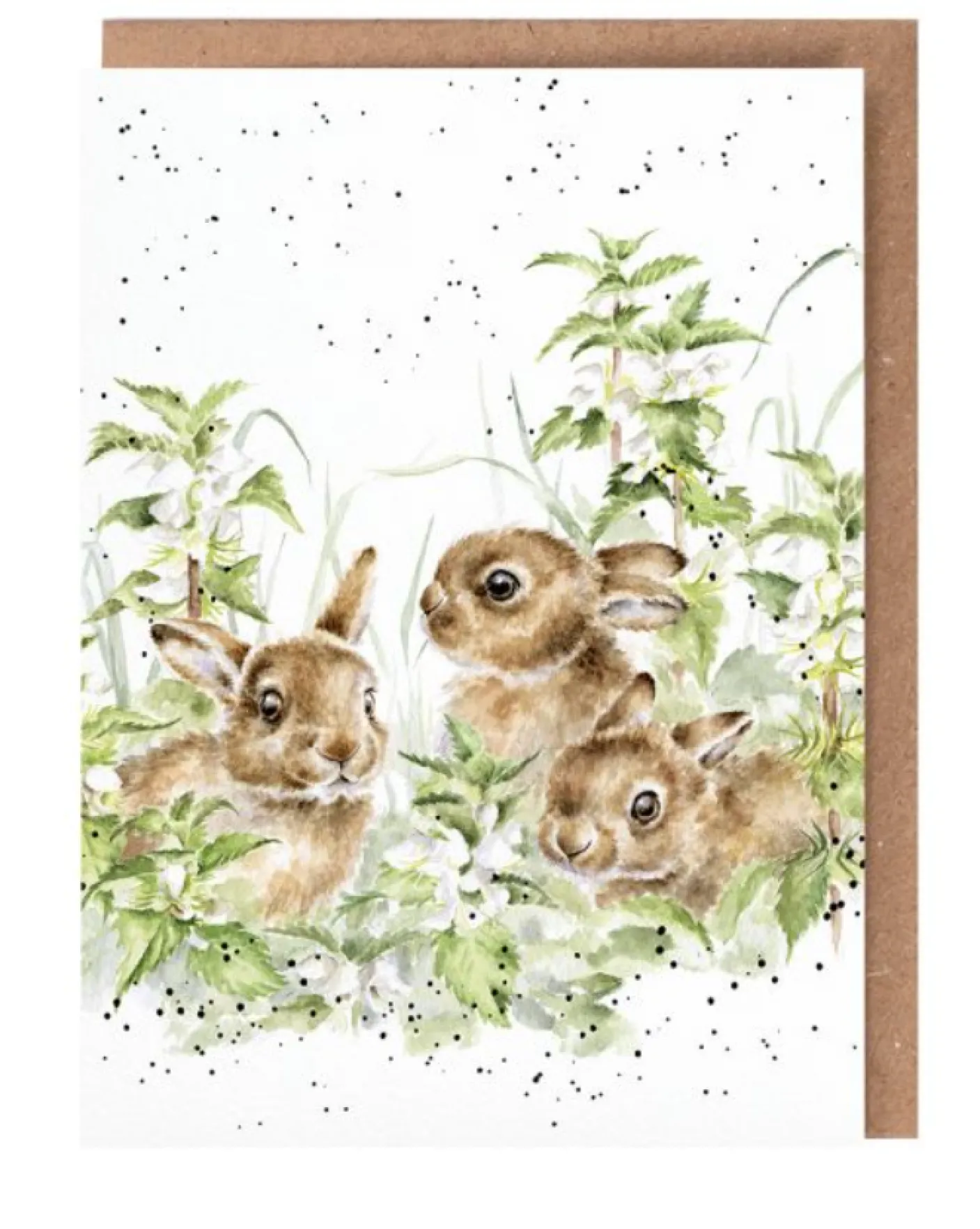 'Spring Hares' Bunny Greetings Card