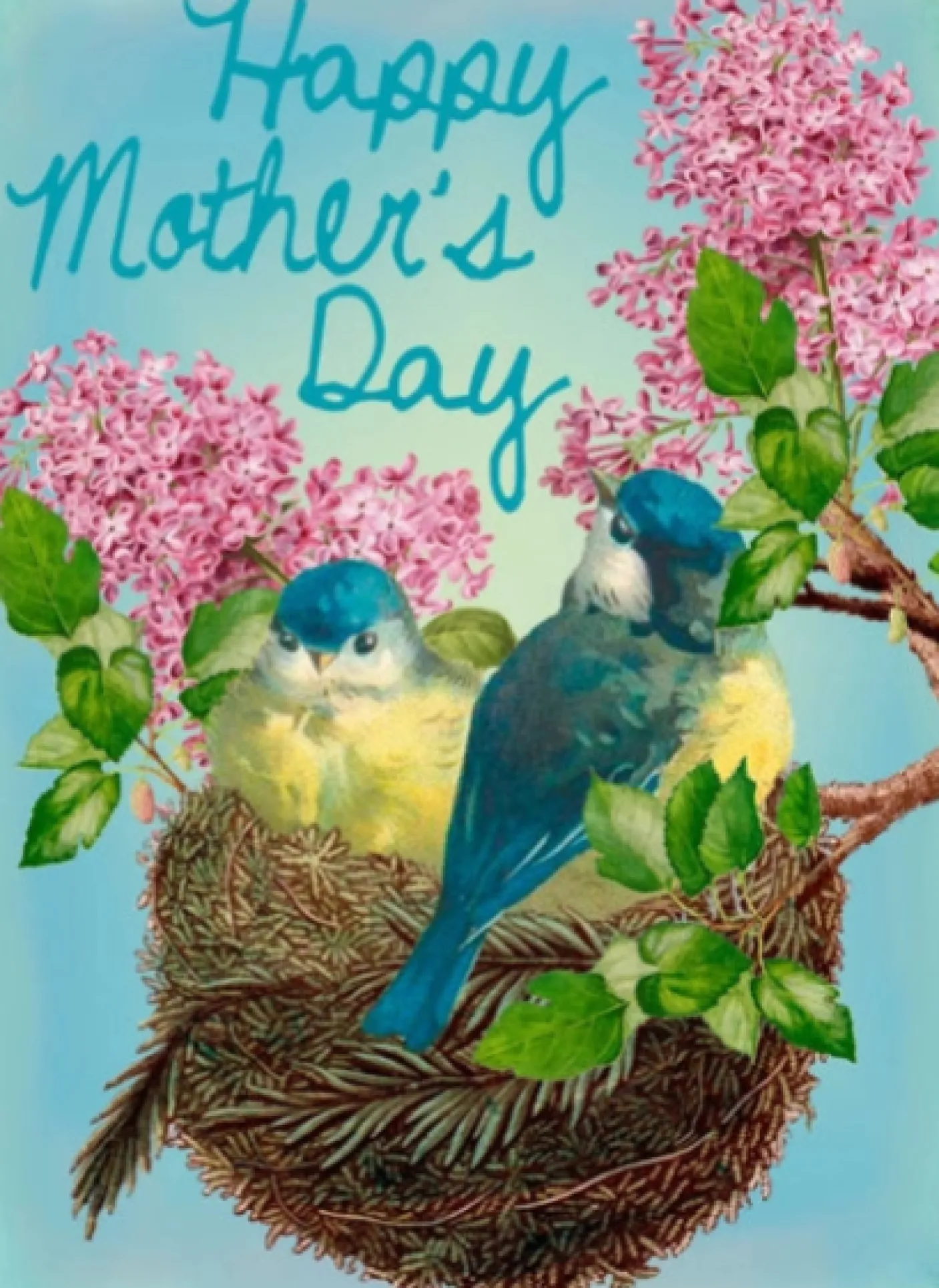 In the Nest Mother's Day Card