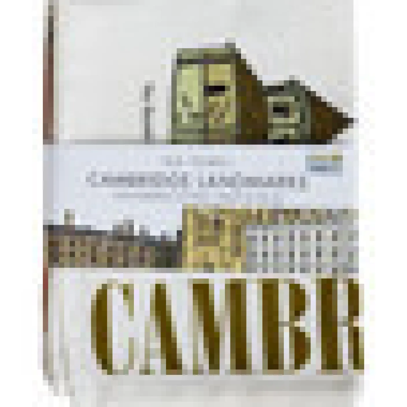 Cambridge Landmarks Tea Towel