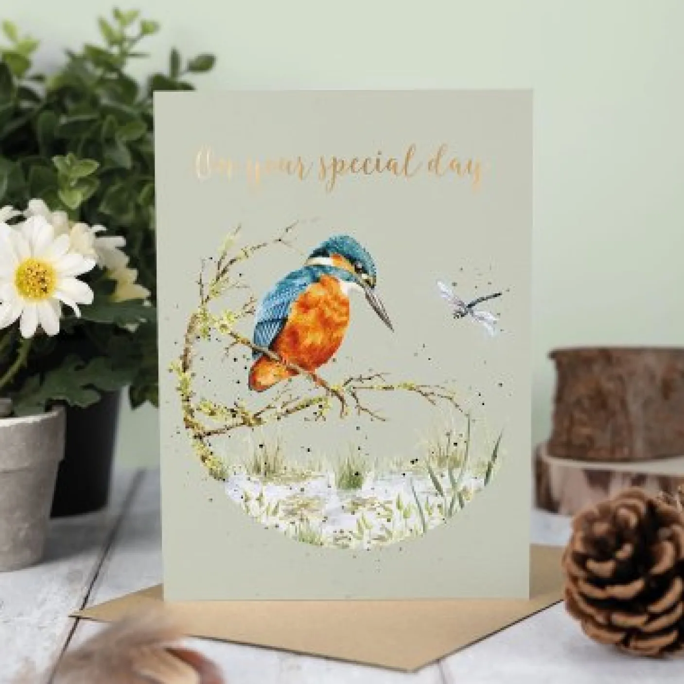 'Pond Dipping' Kingfisher Greetings Card