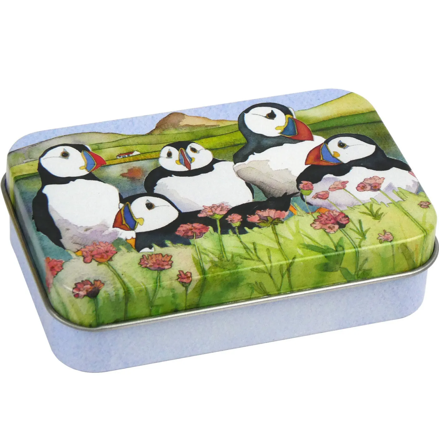 Sea Thrift Puffins Hinged Small Rectangular Tin