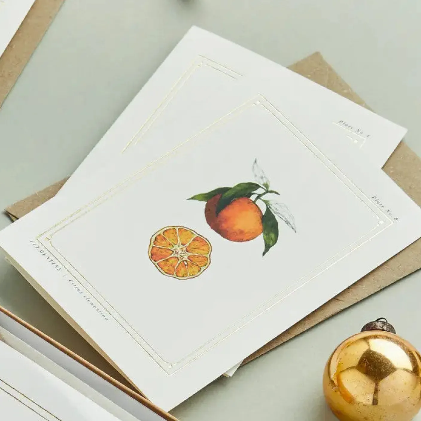 Clementine - 'Botanical Archive: Festive Edition' - card