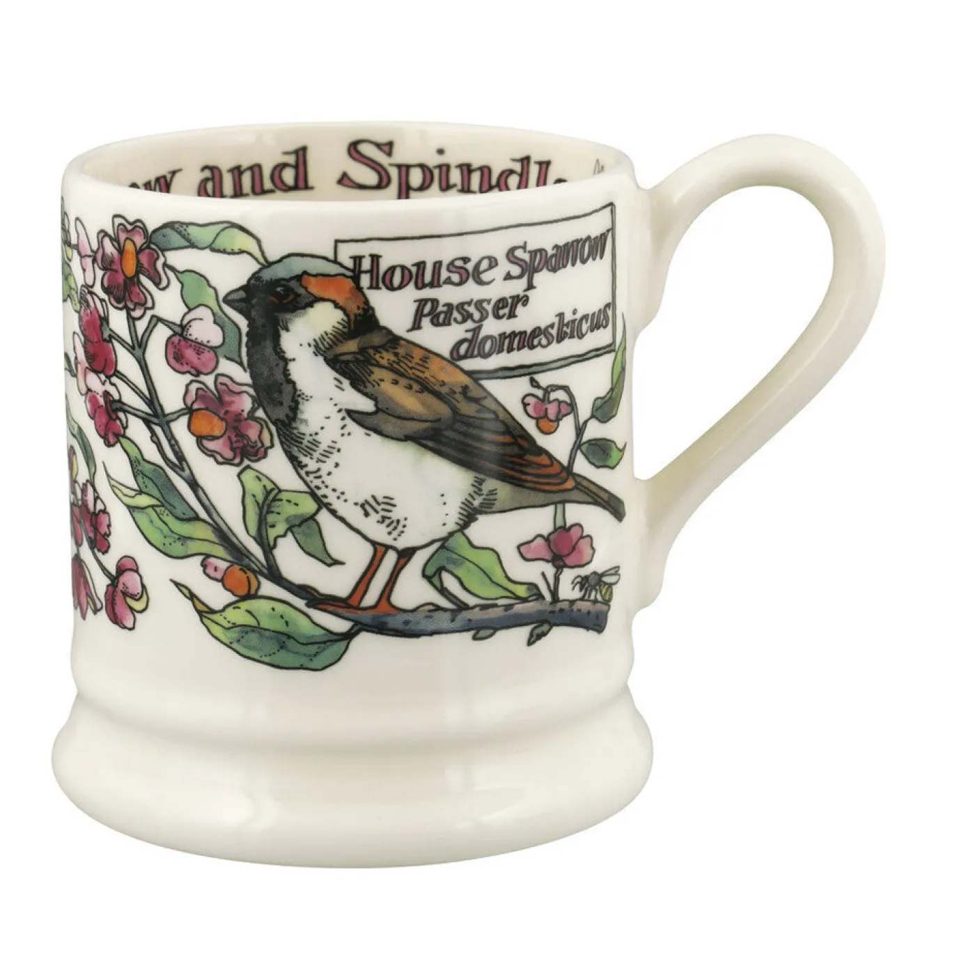 Birds In The Hedgerow Spindle & House Sparrow  1/2 Pint Mug