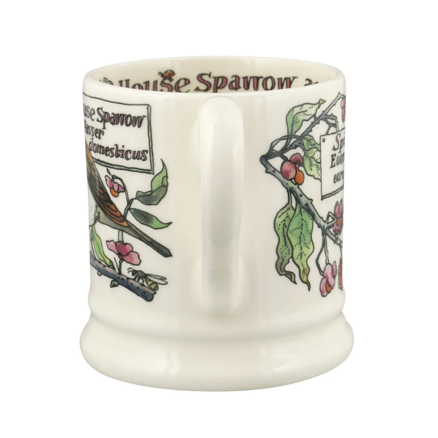 Birds In The Hedgerow Spindle & House Sparrow  1/2 Pint Mug