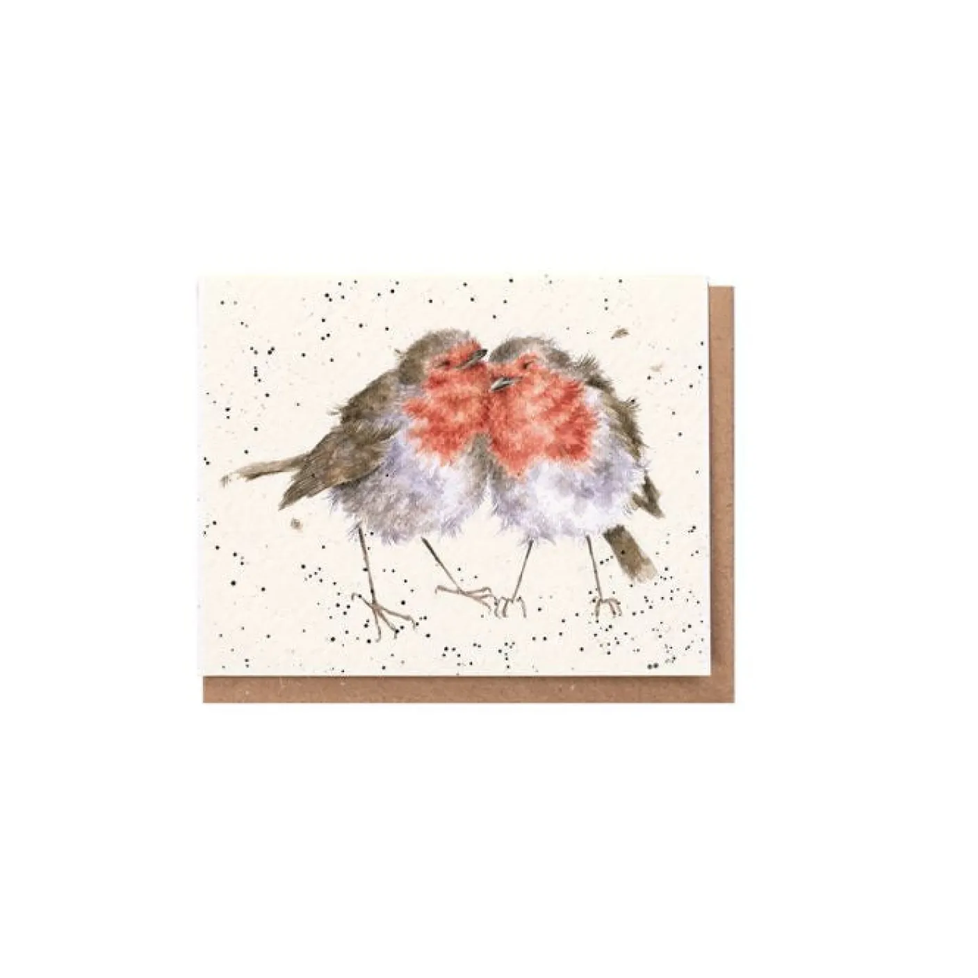 'Birds of a Feather' Robins Gift Enclosure Card