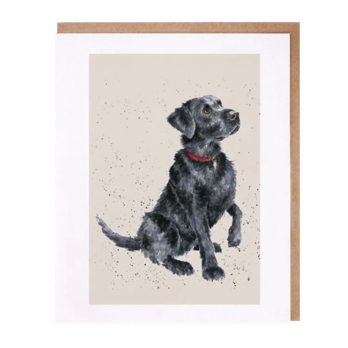 'Jack' Black Labrador Greetings Card