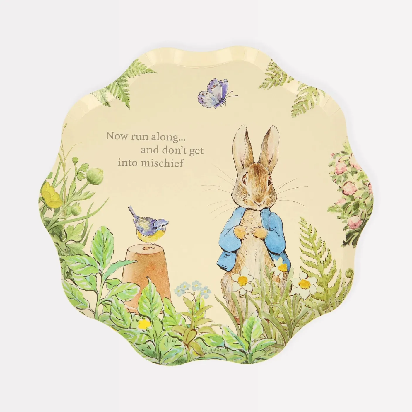 Peter Rabbit In The Garden Side Plates