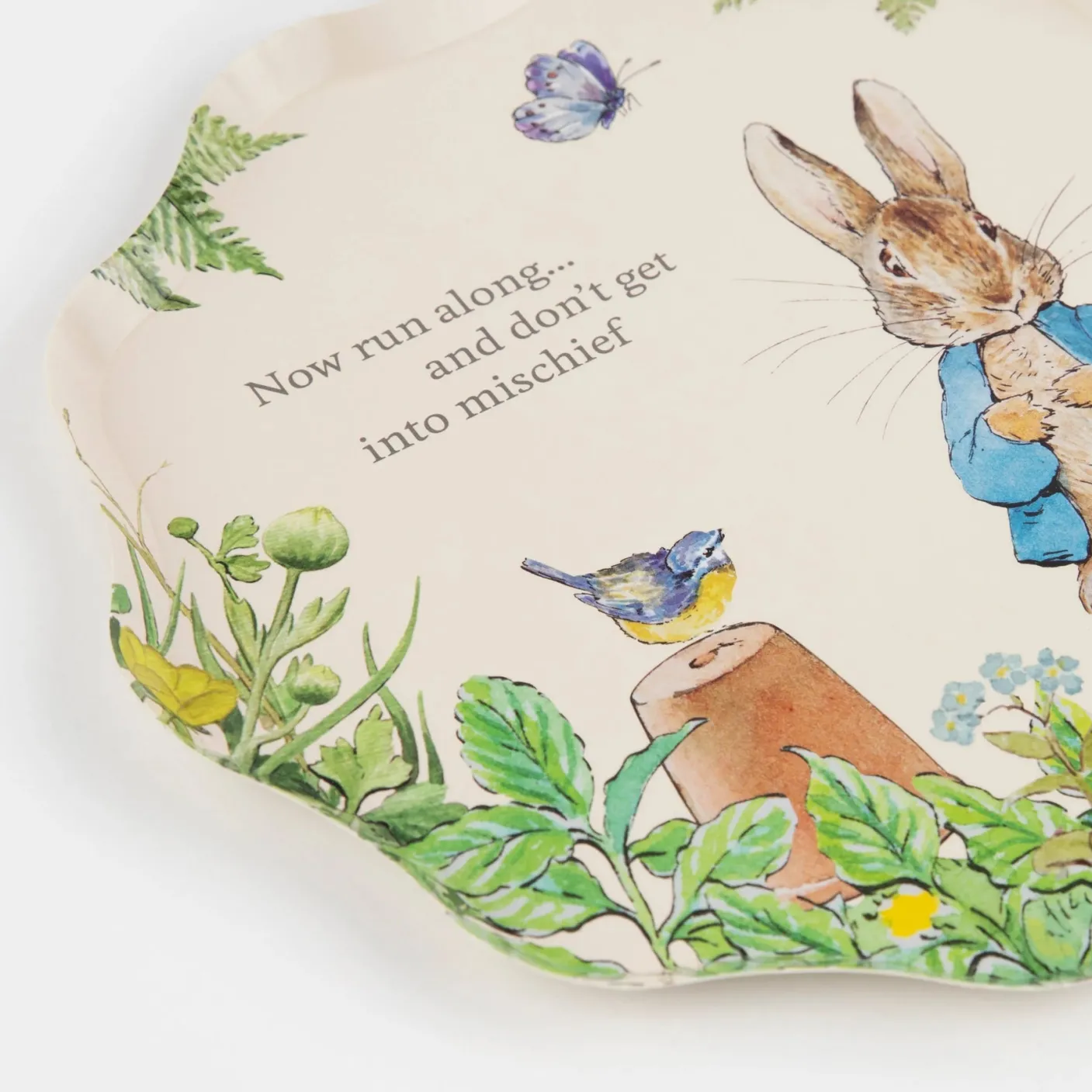 Peter Rabbit In The Garden Side Plates