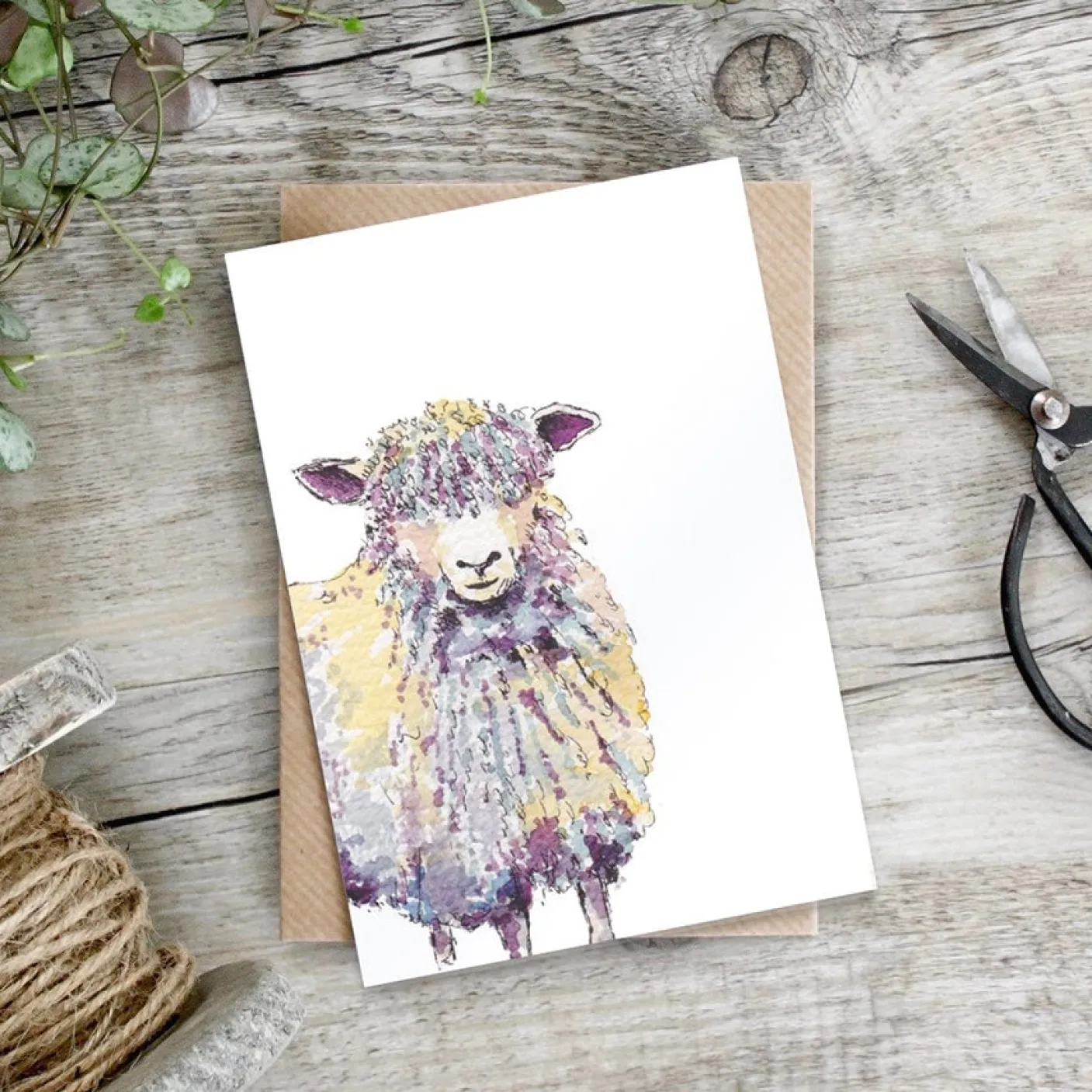 Sheep Greetings Card