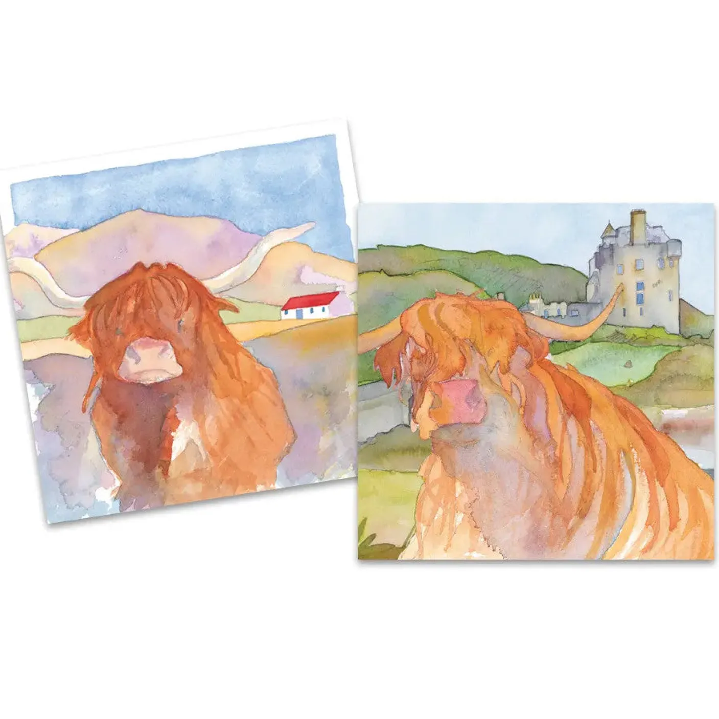 Highland Coos pack of 10 Mini Notecards