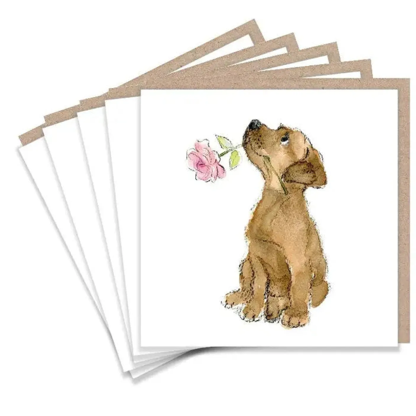 Labrador and Rose Set of 5  Notecards