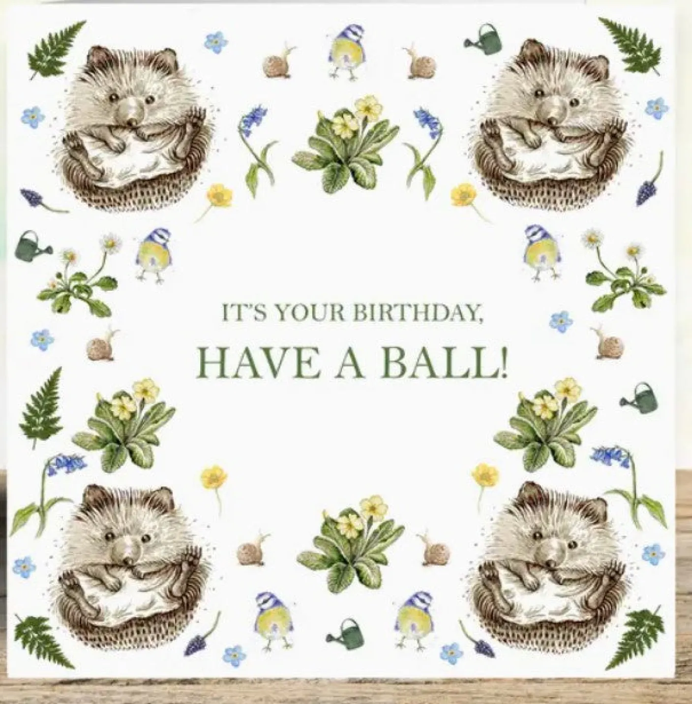 'Have A Ball' Hedgehogs Birthday Card