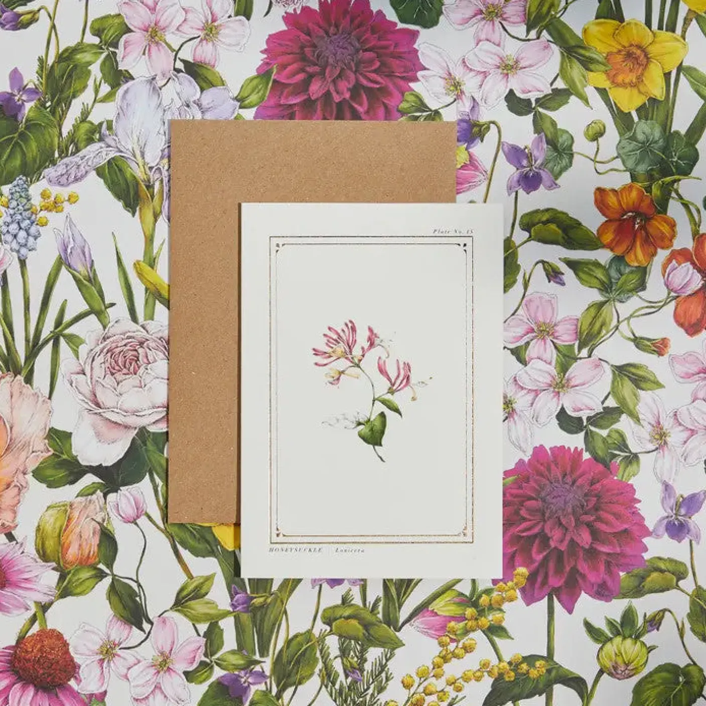 Honeysuckle - 'Botanical Archive: Everyday Edition' - card