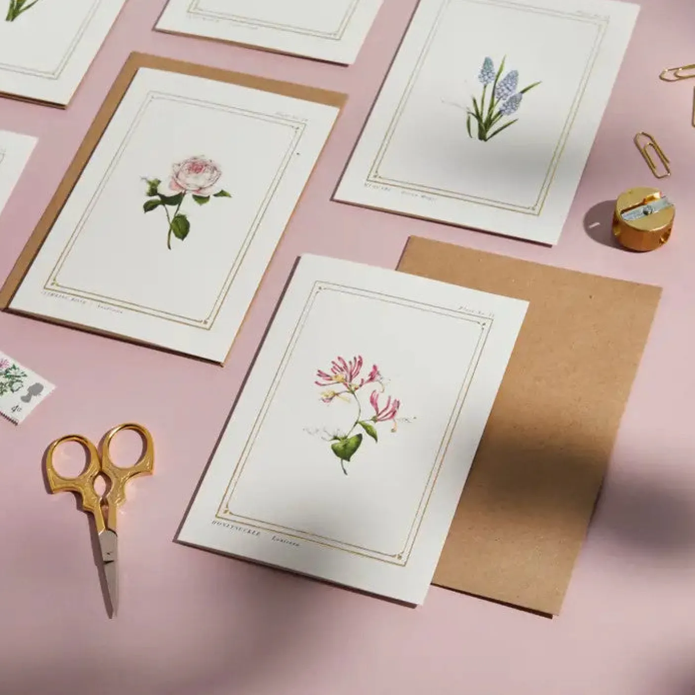 Honeysuckle - 'Botanical Archive: Everyday Edition' - card