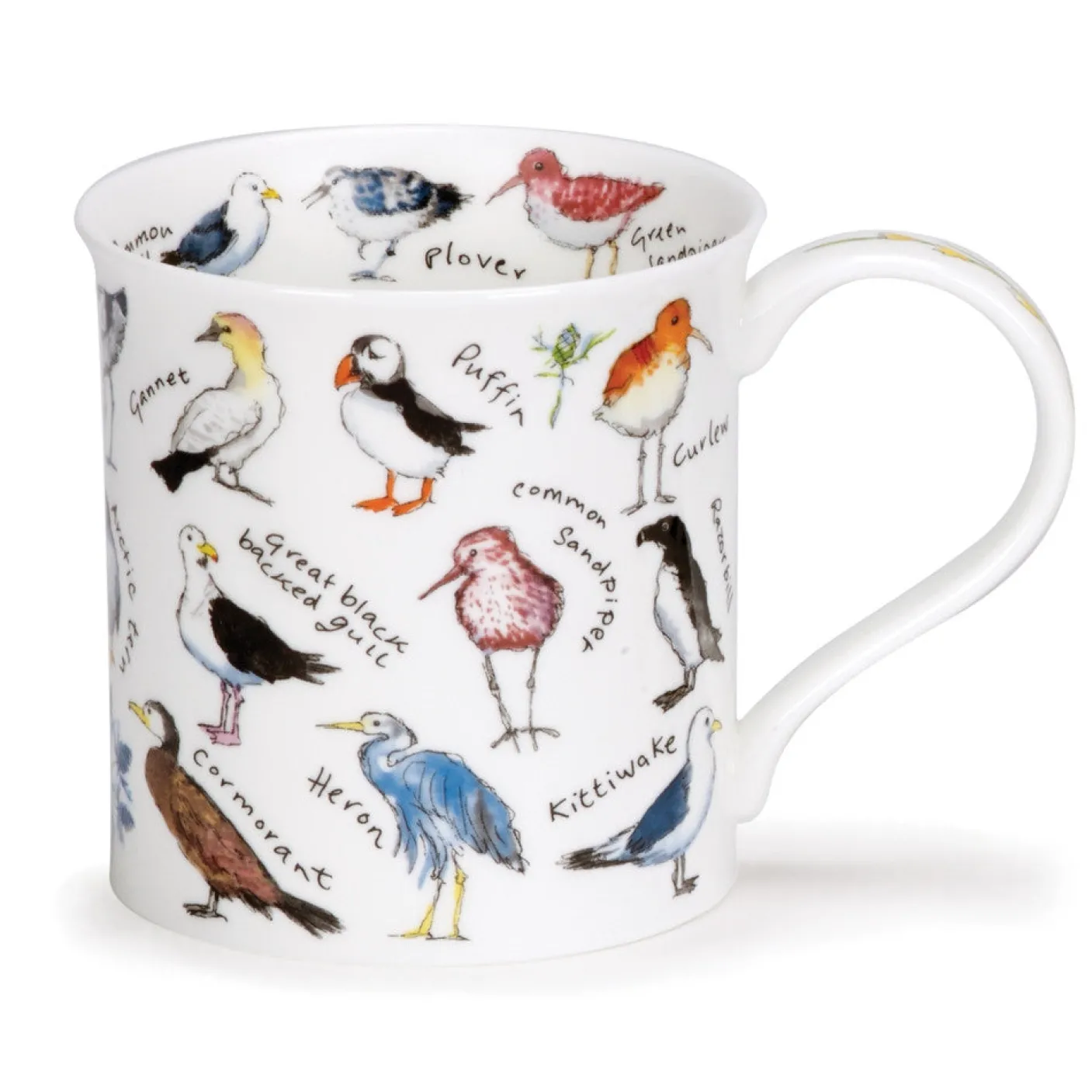 Bute Birdlife Coastal Birds