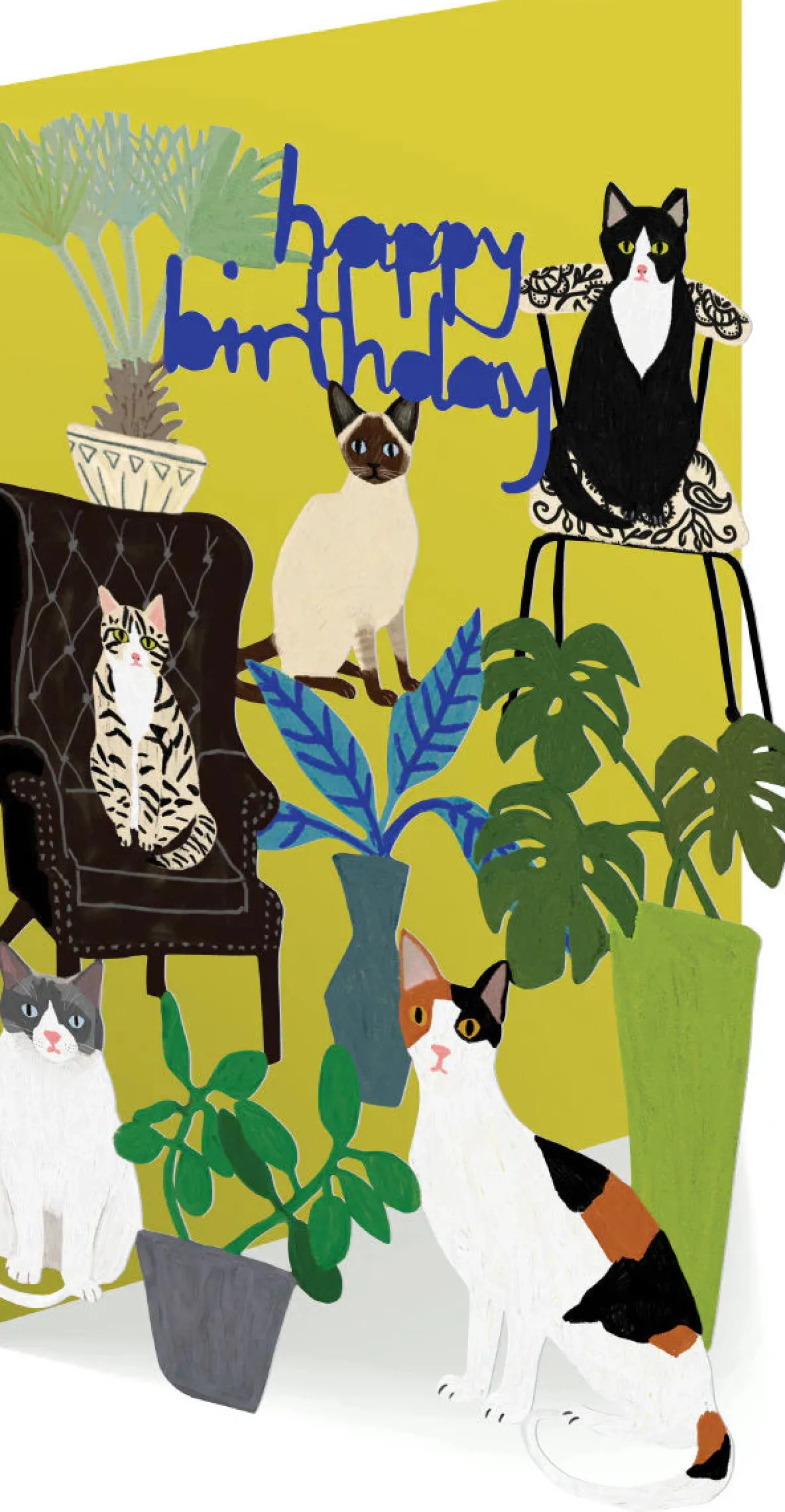 Cat Palais, Birthday Laser Greeting Card