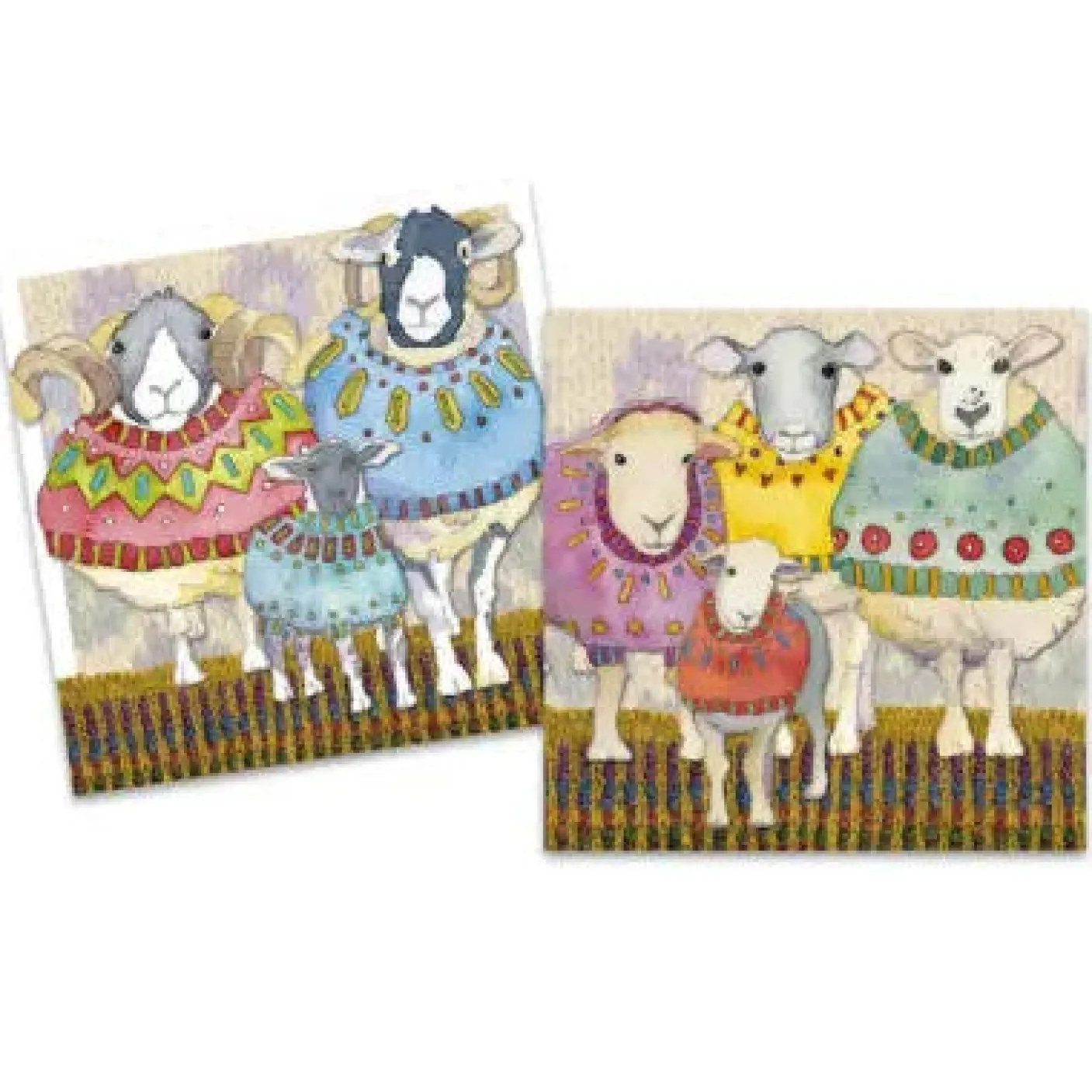Sheep in Sweaters pack of 10 Mini Notecards