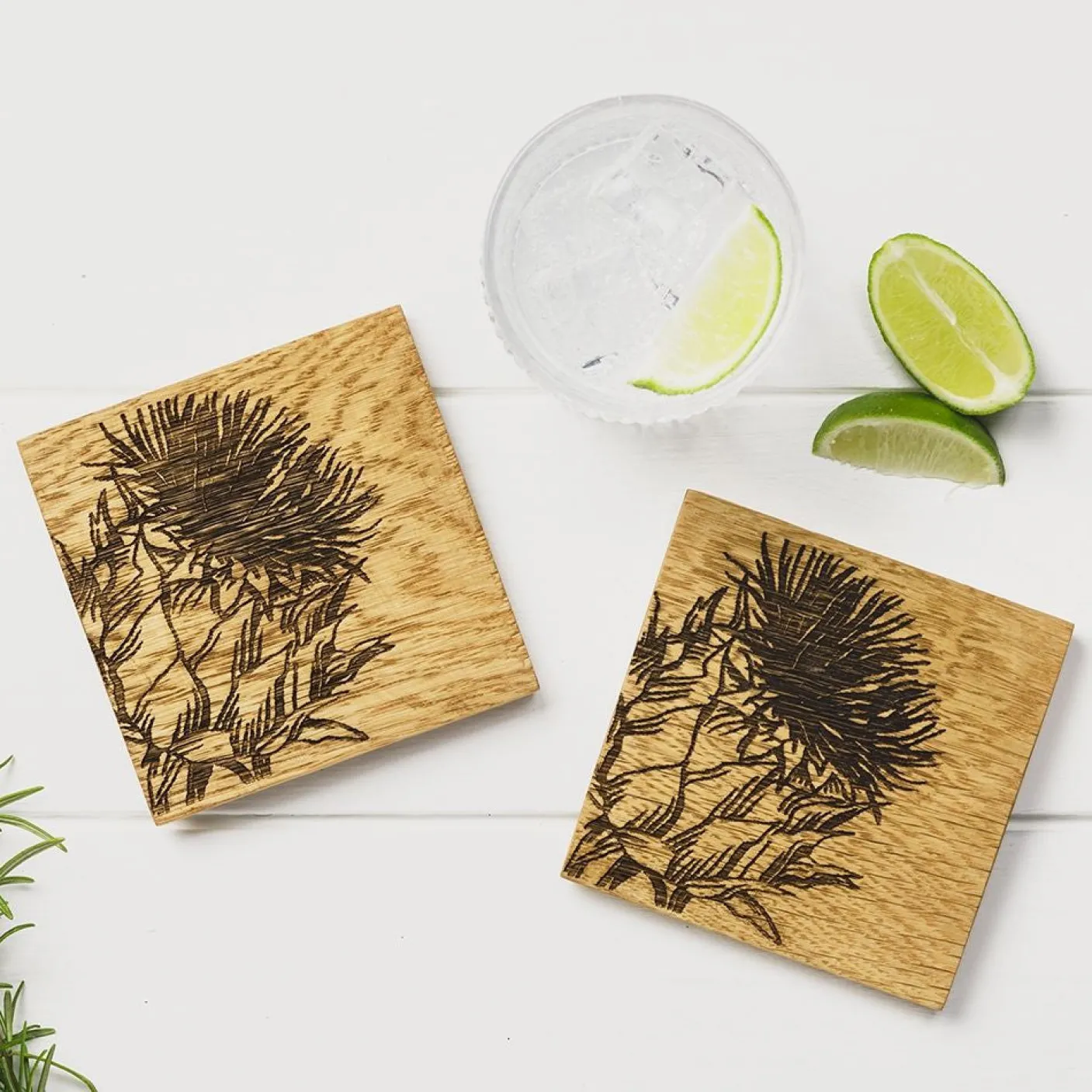 Thistle Oak Coasters - Set of 2
