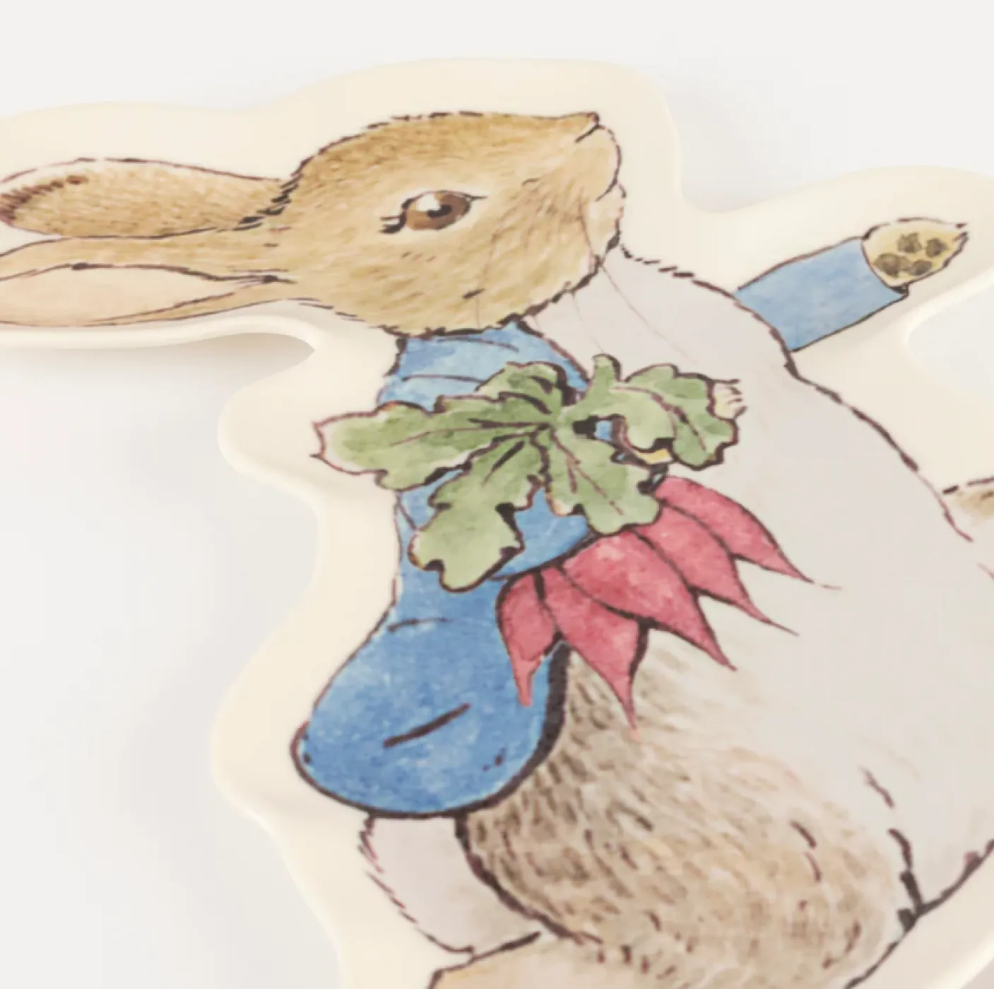 Peter Rabbit Reusable Plate