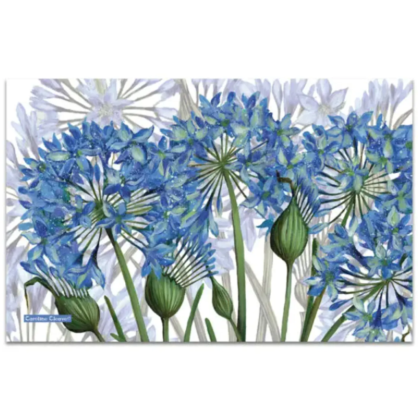 Agapanthus II Tea Towel