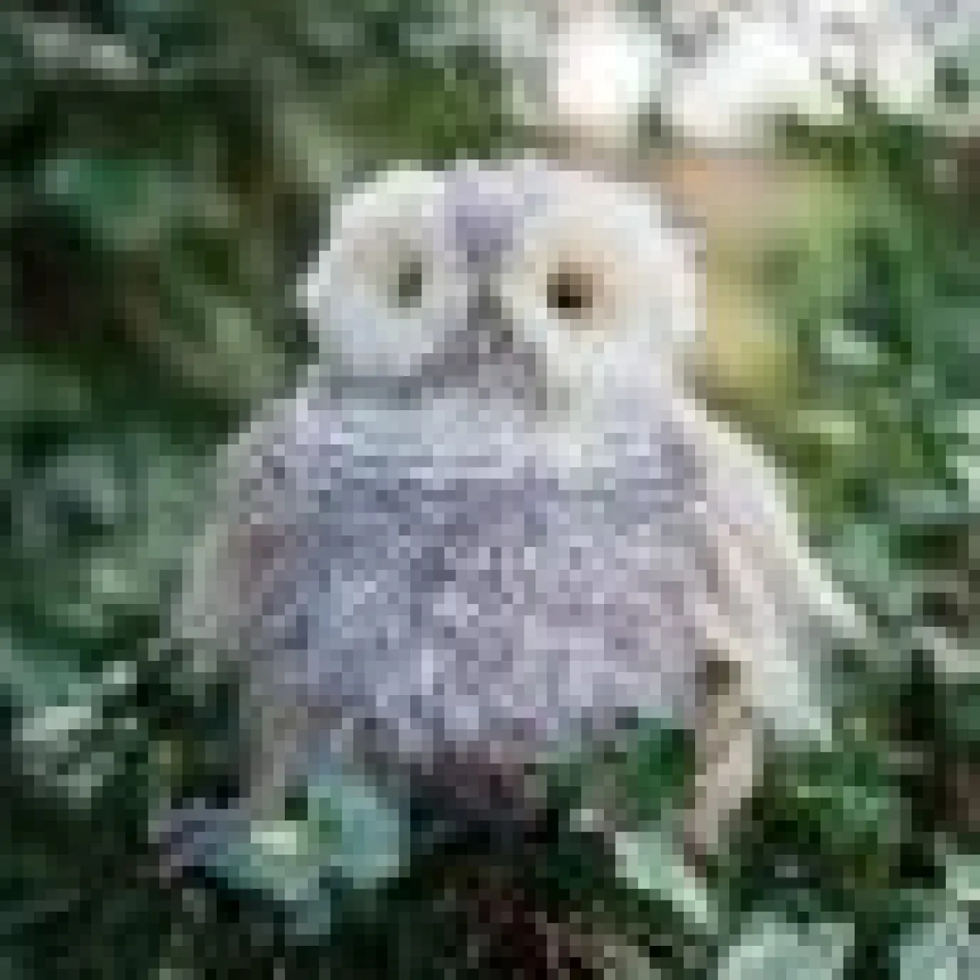 'Elvis'  Plush Character Keyring