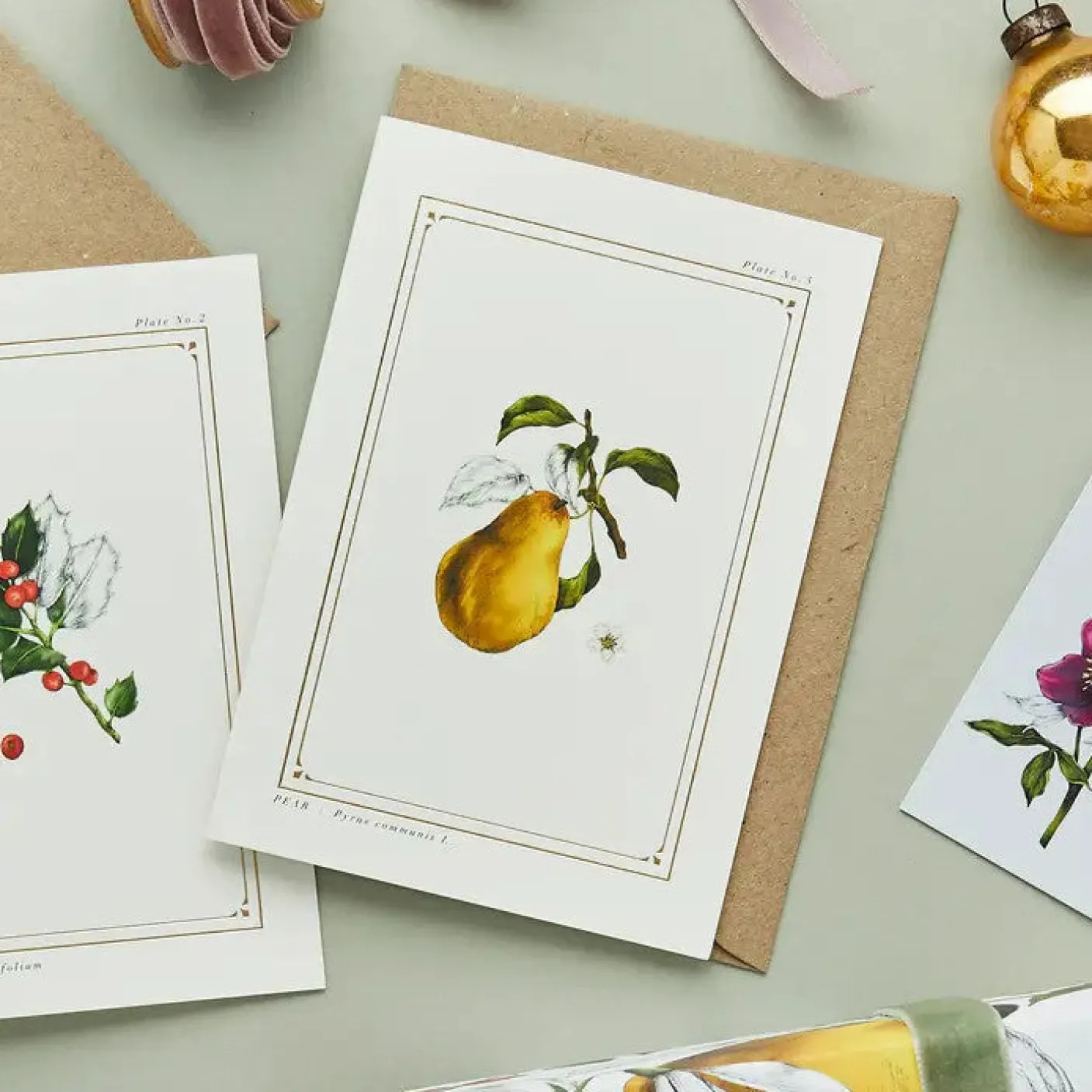 Pear - 'Botanical Archive: Festive Edition' - card