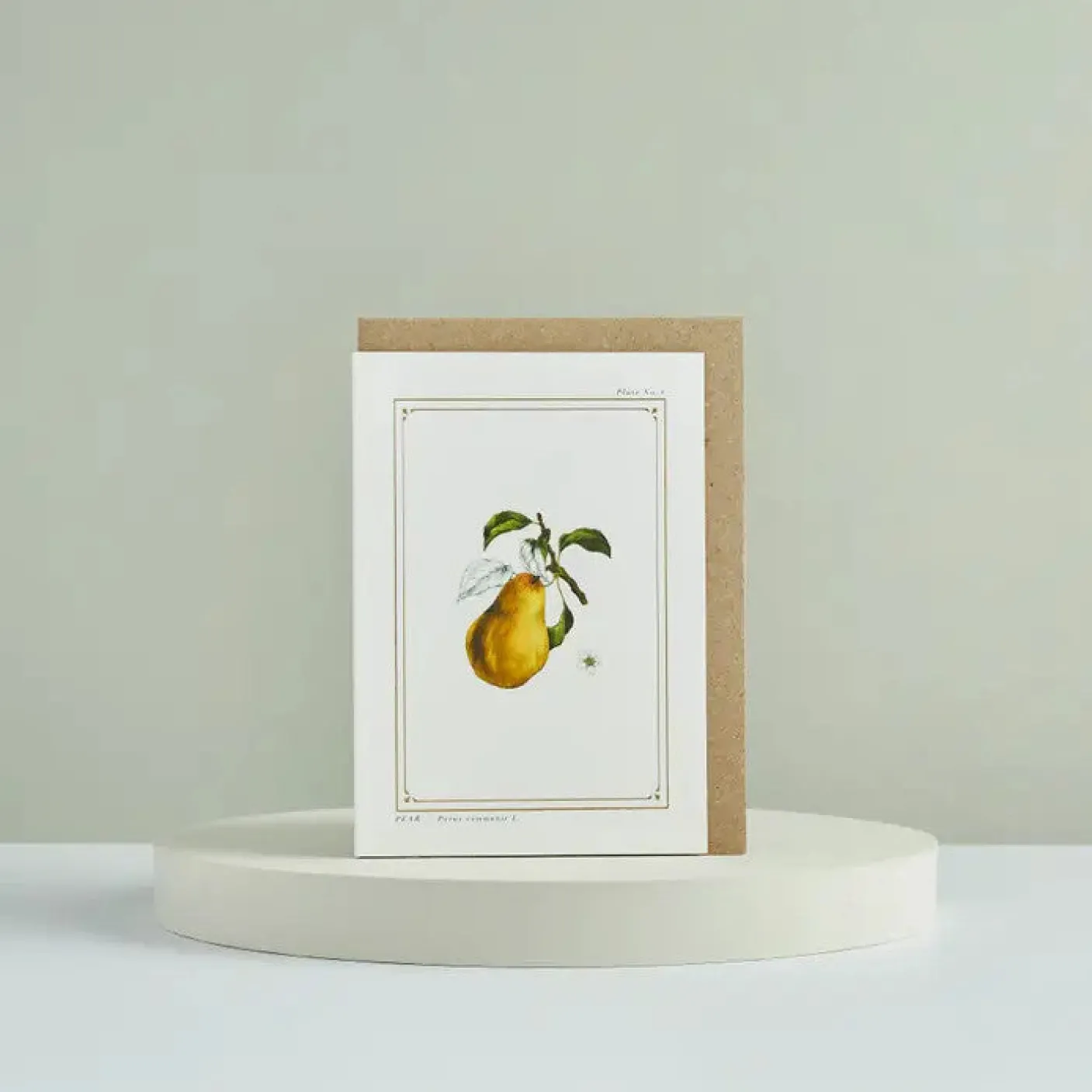 Pear - 'Botanical Archive: Festive Edition' - card