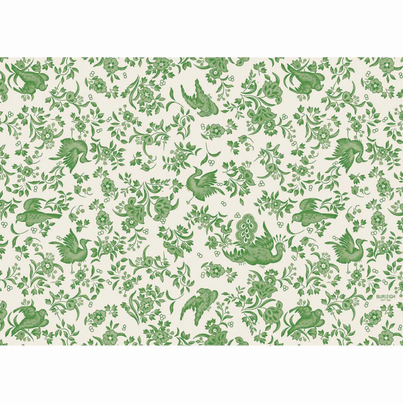 Green Regal Peacock Pad of 24 Paper Placemats