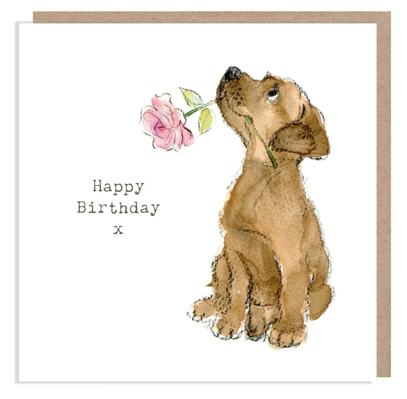Chocolate Labrador with Pink Rose "Happy Birthday" Greetings Card