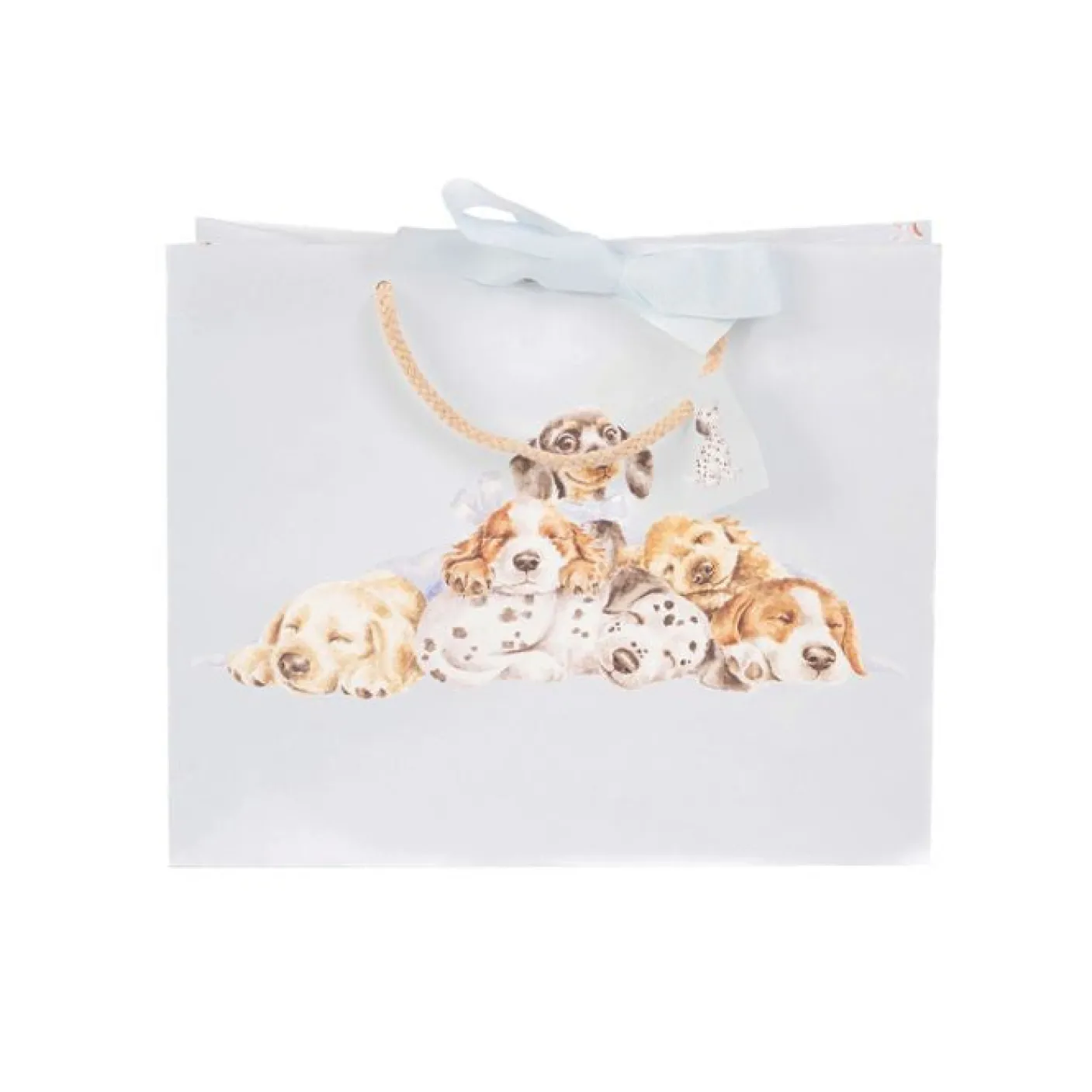 'Little Paws' Dog Gift Bag