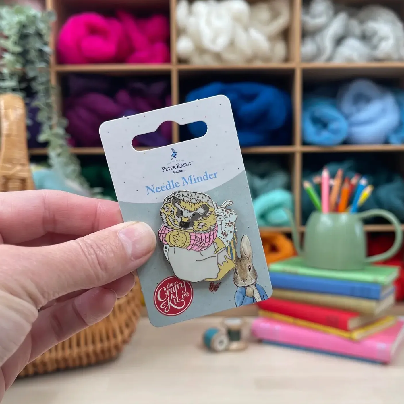 Mrs Tiggy-Winkle Needle Minder