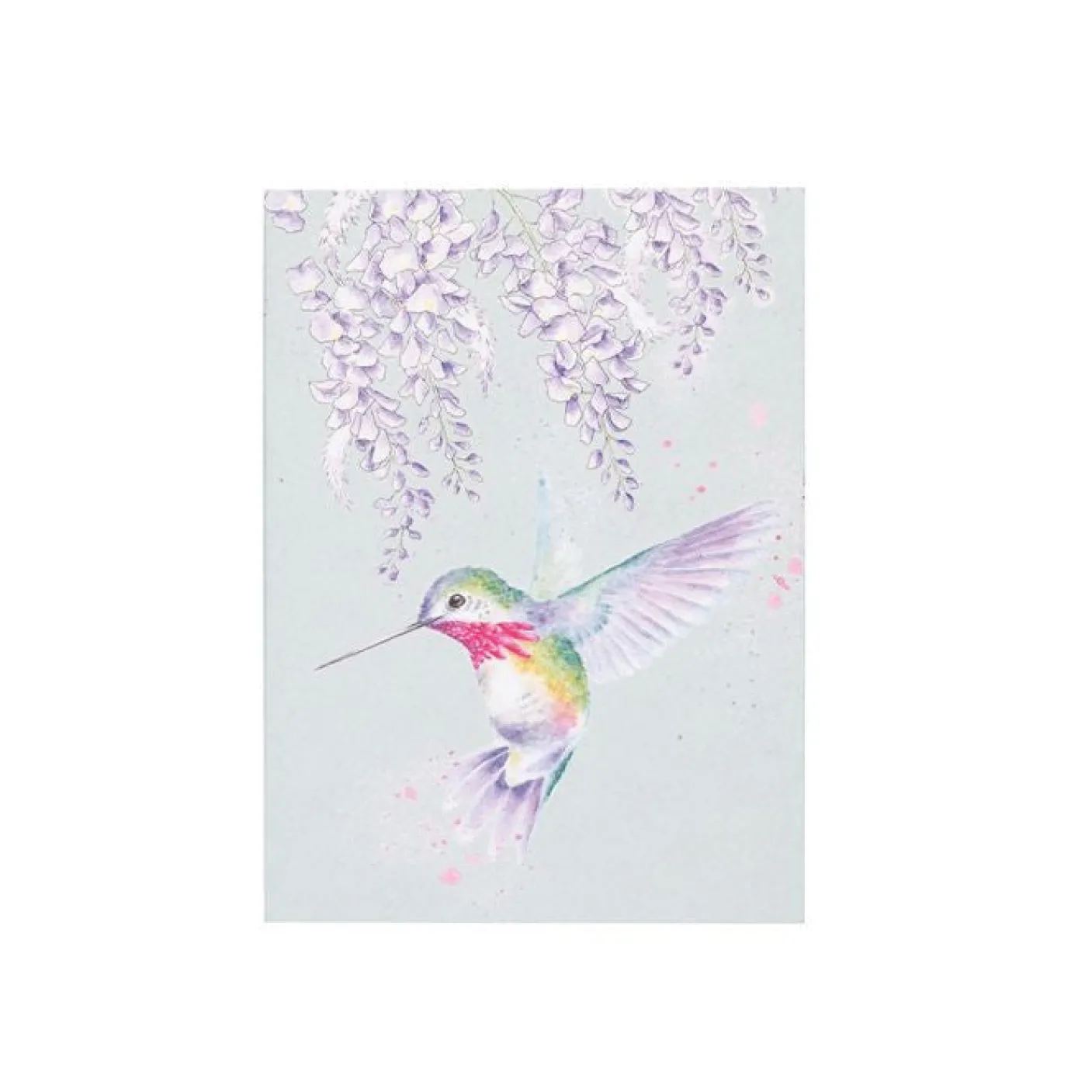 'Wisteria Wishes' Hummingbird A6 Notebook