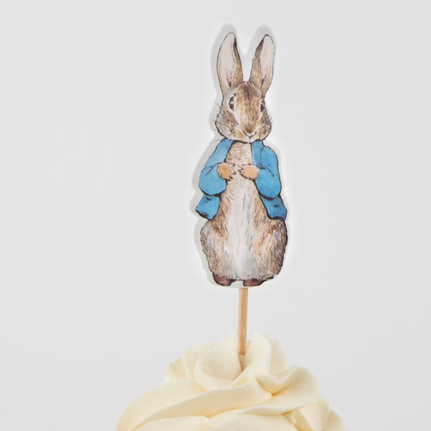 Peter Rabbit In the Garden Cupcake Kit