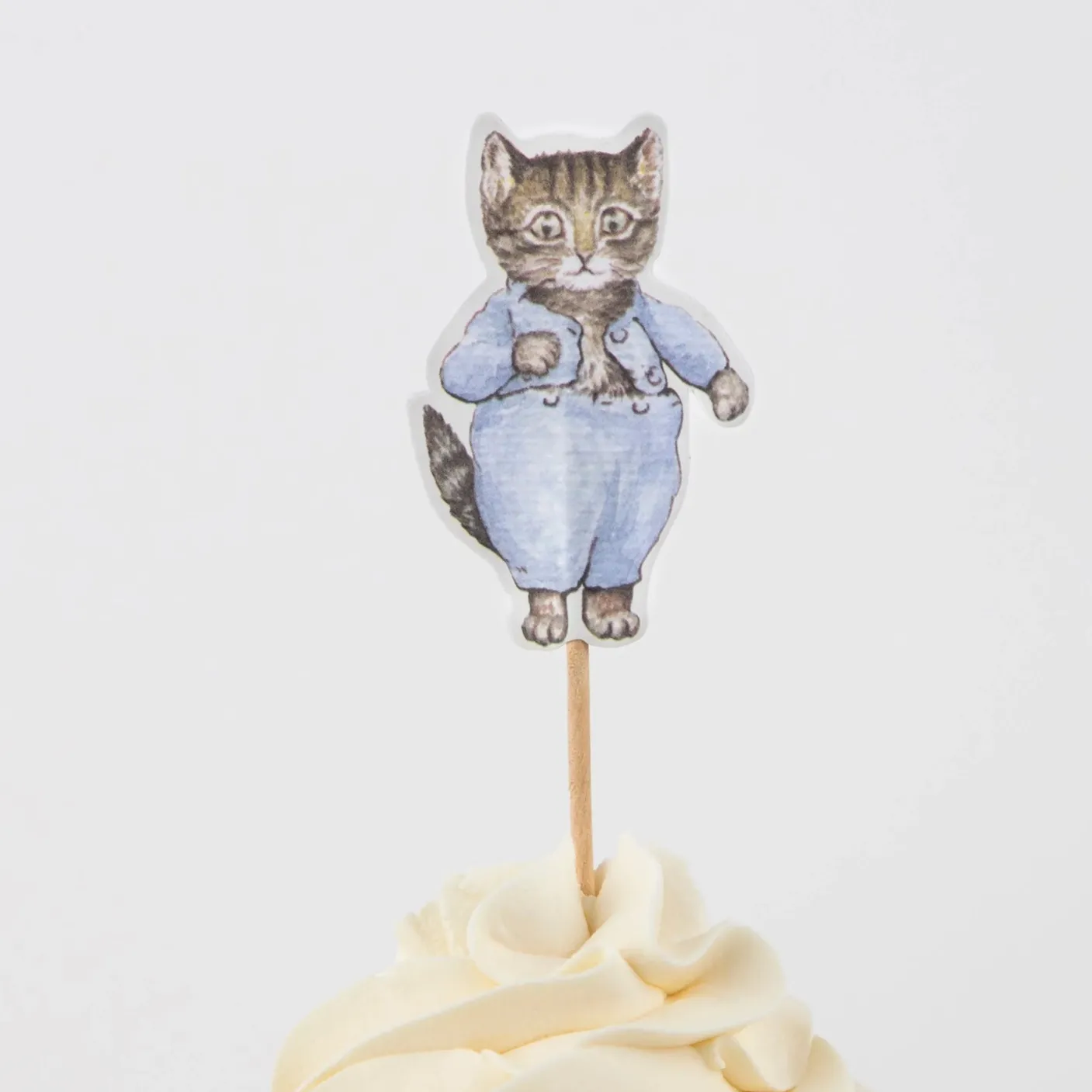 Peter Rabbit In the Garden Cupcake Kit