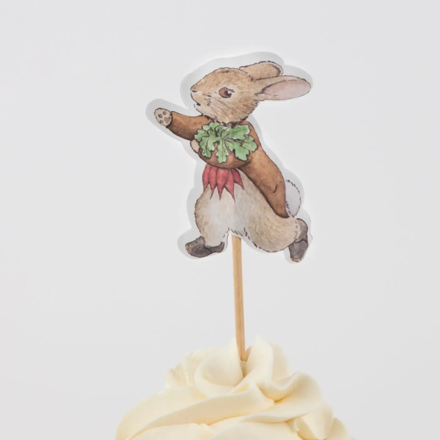 Peter Rabbit In the Garden Cupcake Kit
