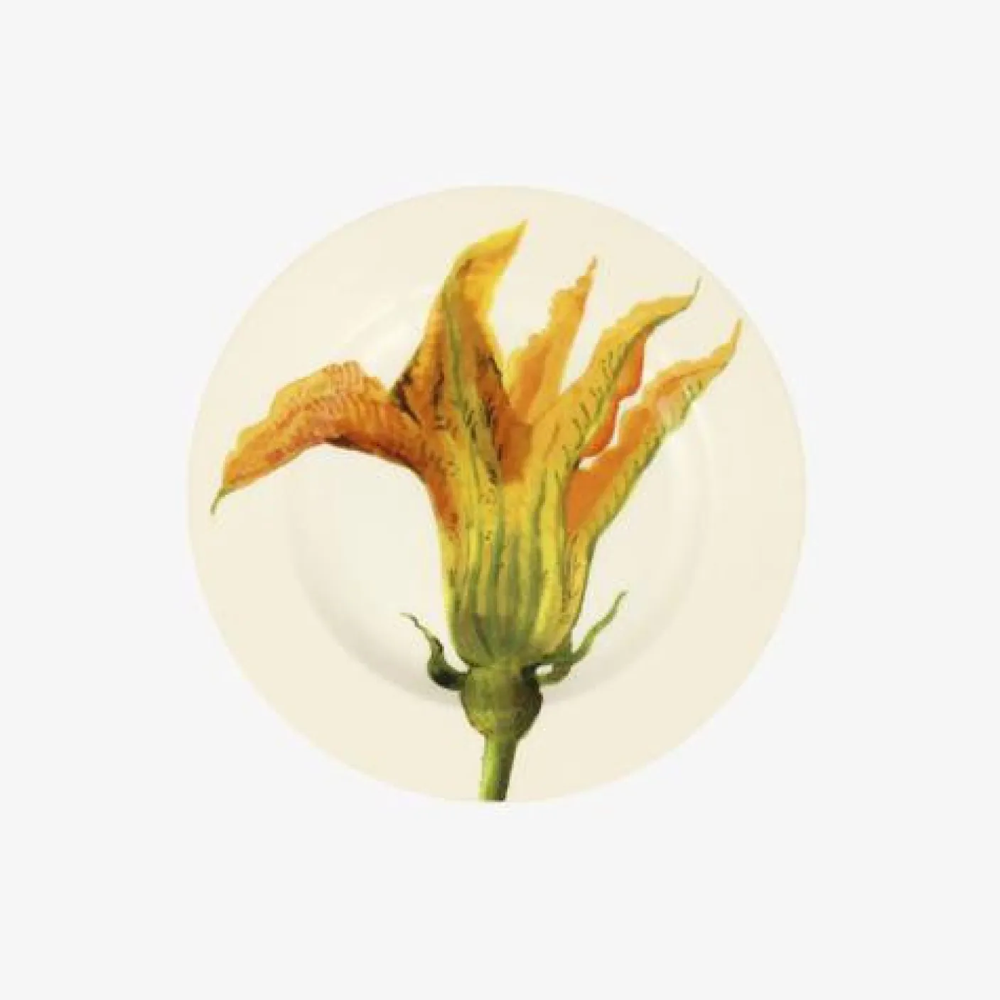 Vegetable Garden Courgette Flower 6 1/2 inch Plate