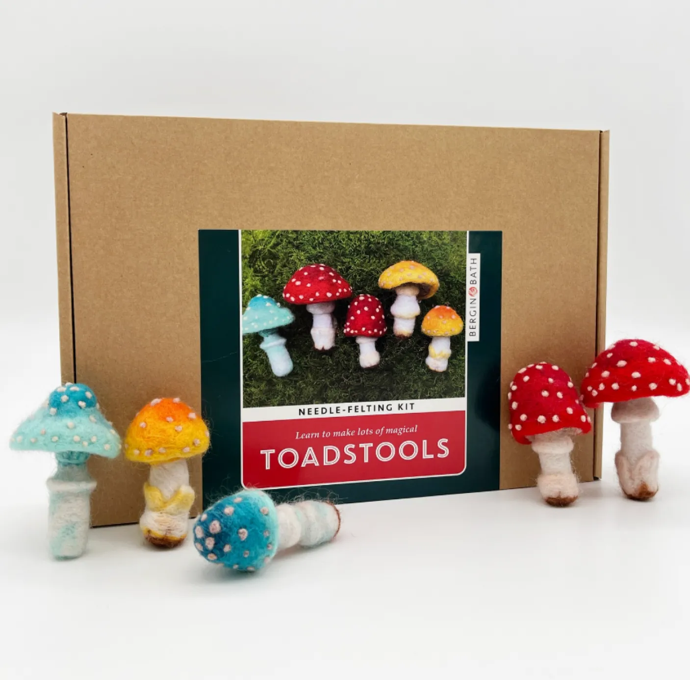Toadstools Needle Felting Kit