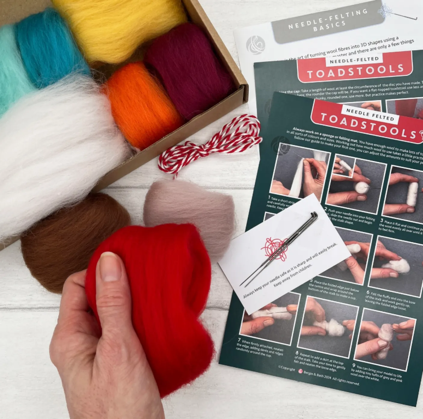 Toadstools Needle Felting Kit