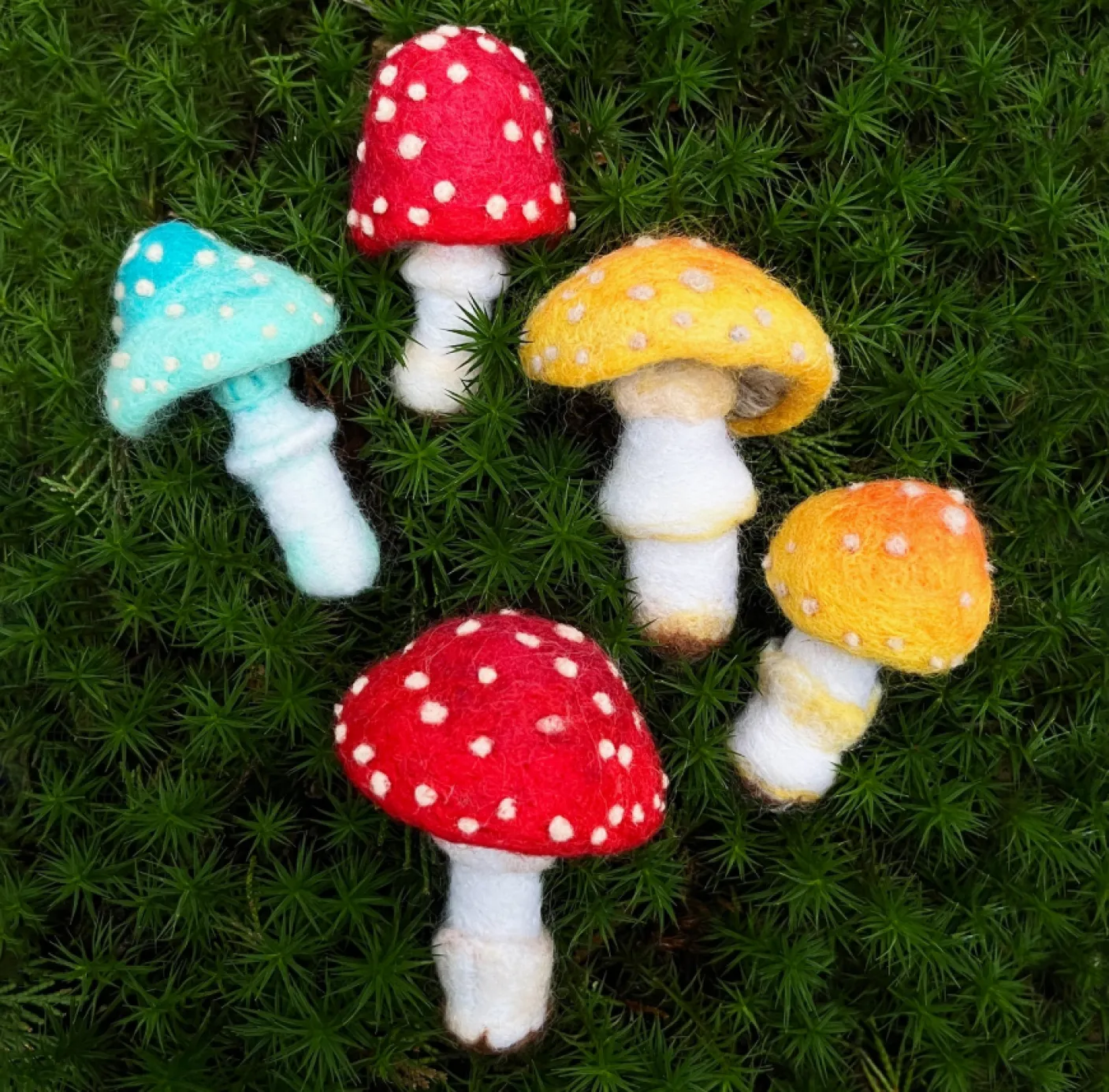 Toadstools Needle Felting Kit