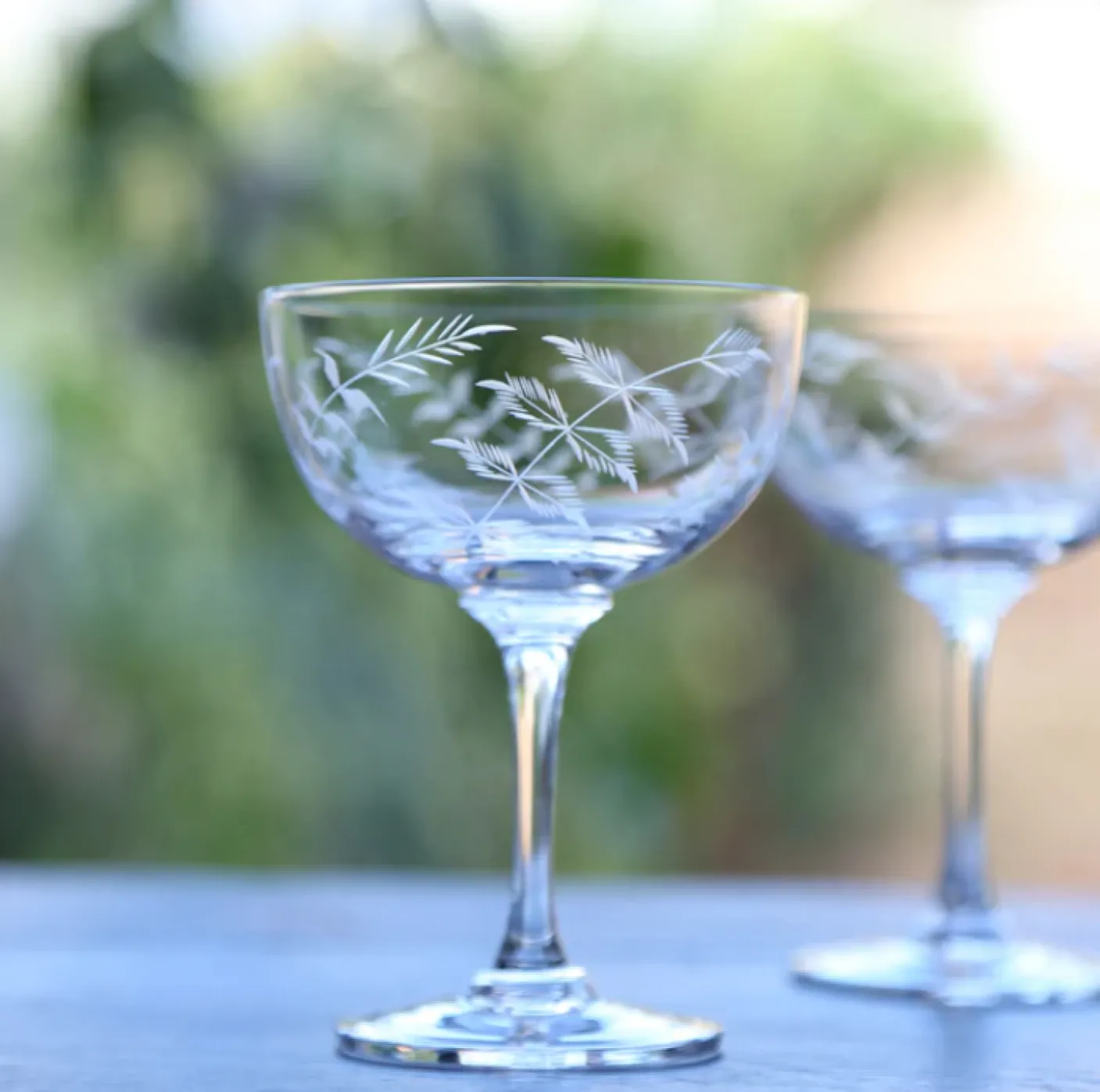 Champagne Saucer with Ferns Design by The Vintage List