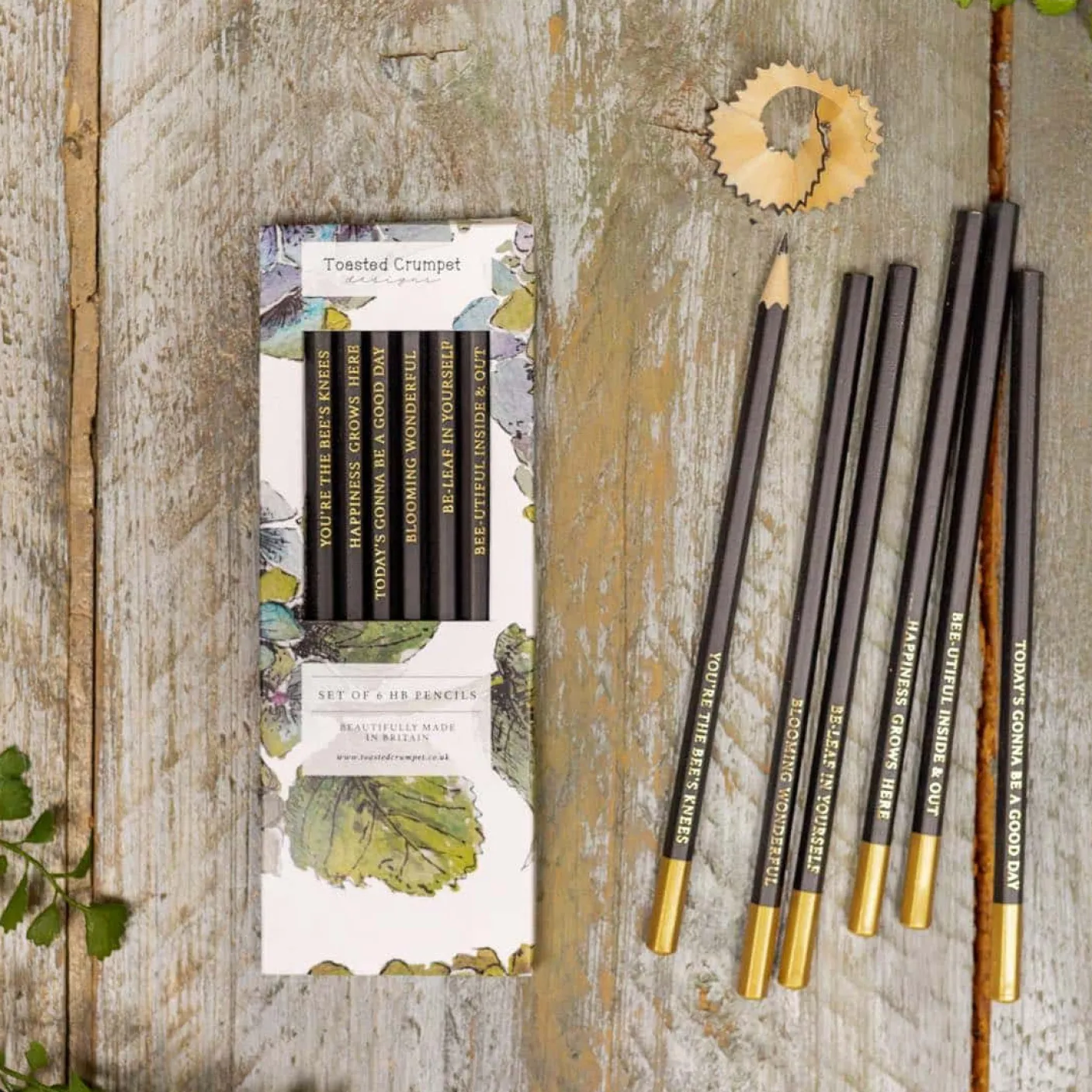 Hydrangea Set of 6 Pencils