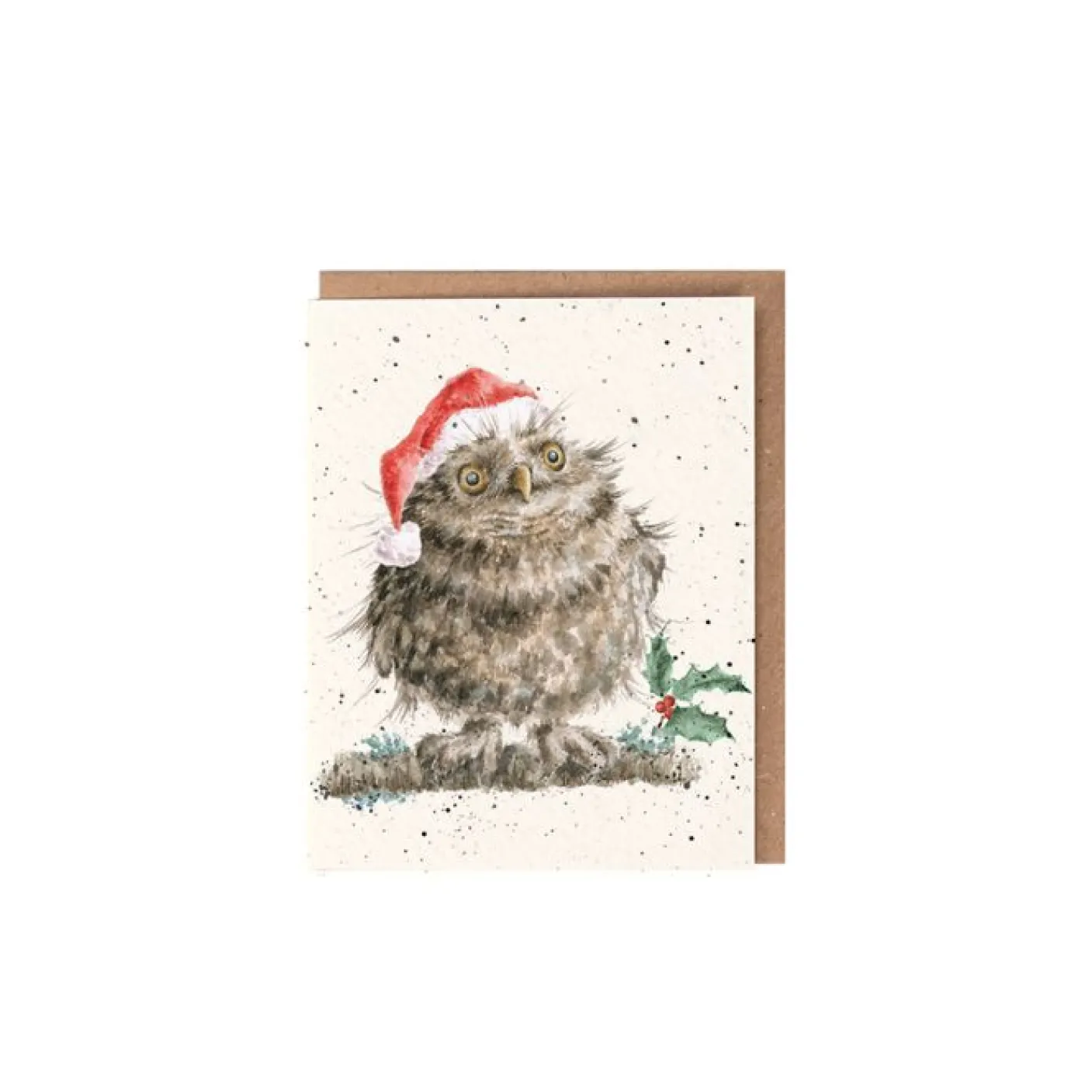 'Christmas Owl' Gift Enclosure Card