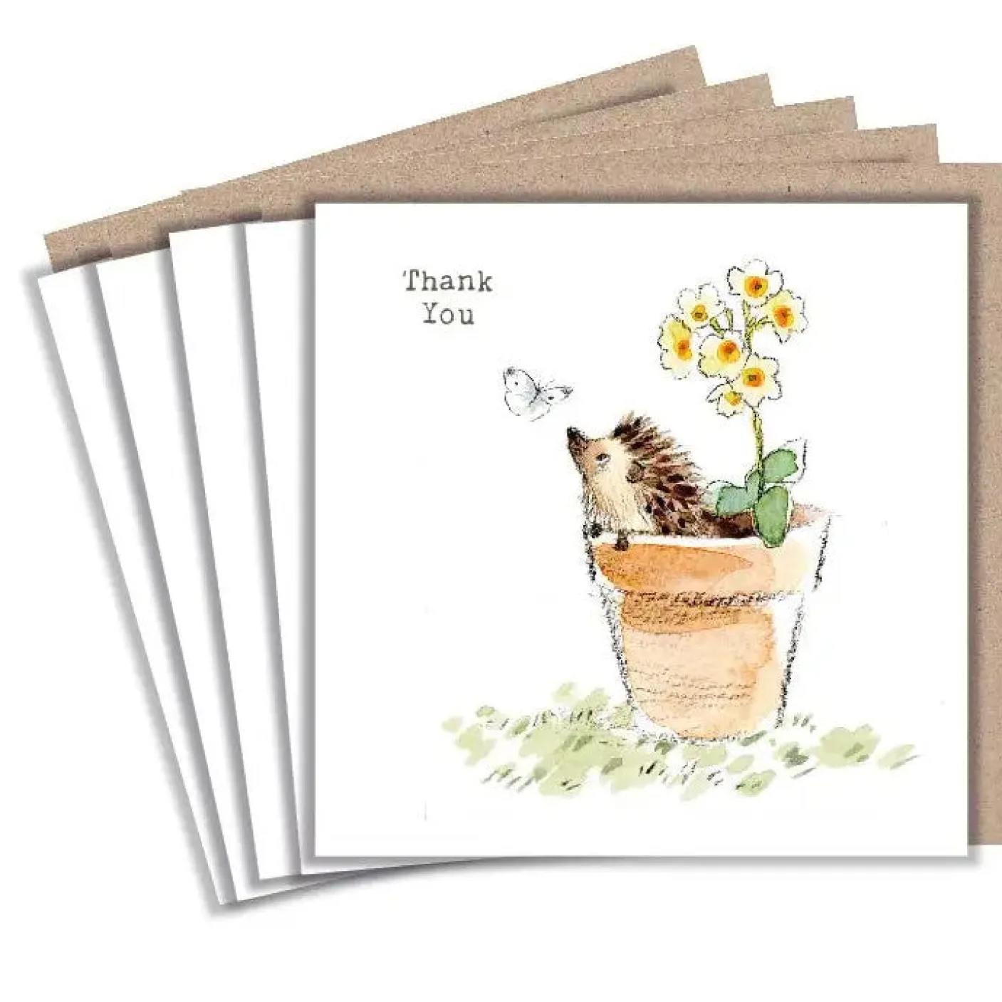 Hedgehog in a Flower Pot "Thank You" Set of 5 Notecards